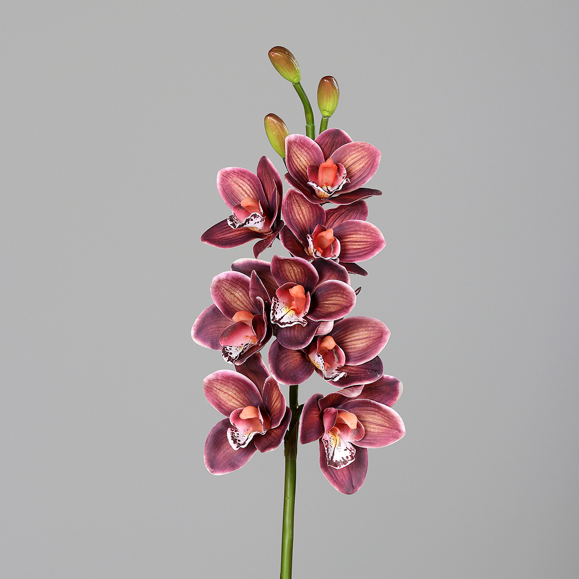Orchidee Cymbidie Real Touch 80cm burgund DP Kunstlbumen künstliche Orchideenzweig Blumen