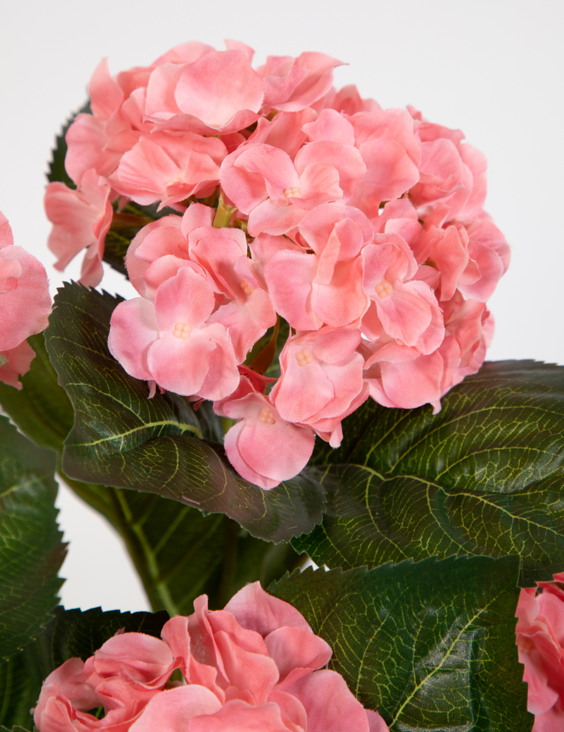 Hortensienbusch Deluxe 42cm rosa-pink im Topf LM Kunstpflanzen künstliche  Hortensie Pflanzen Blumen