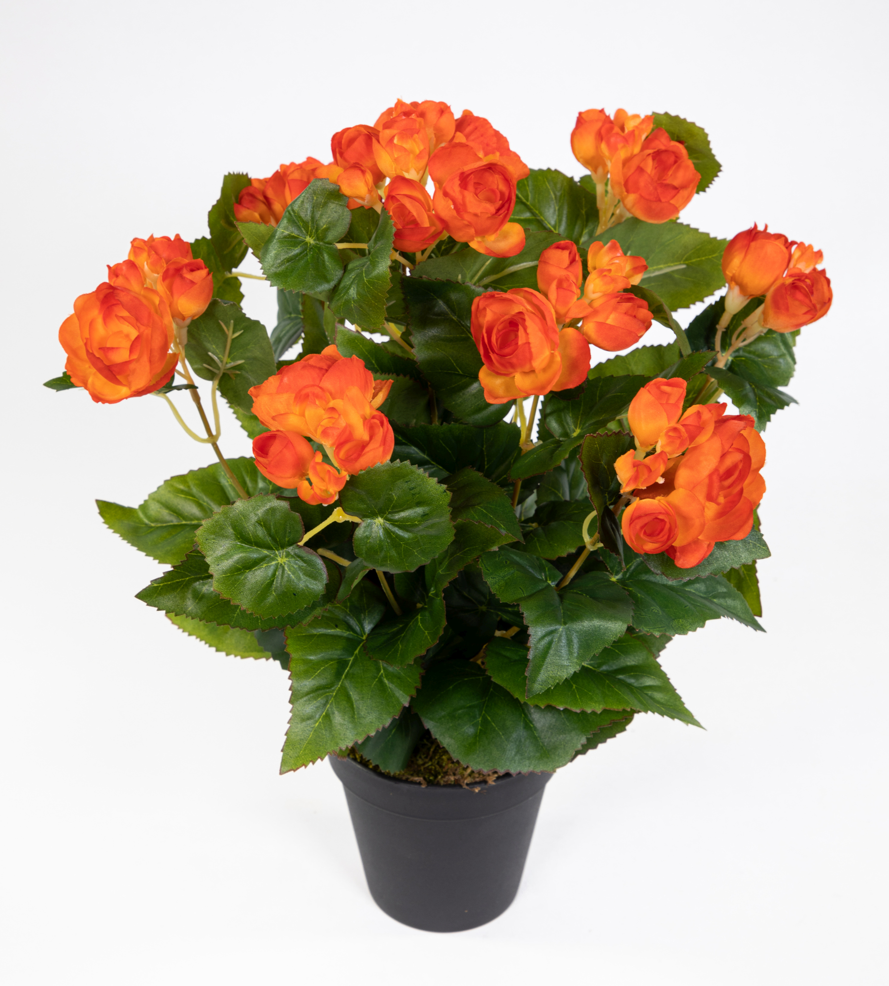 Begonie 38cm orange im Topf LM Kunstpflanzen künstlicher Begonienbusch künstliche Pflanze Kunstblume