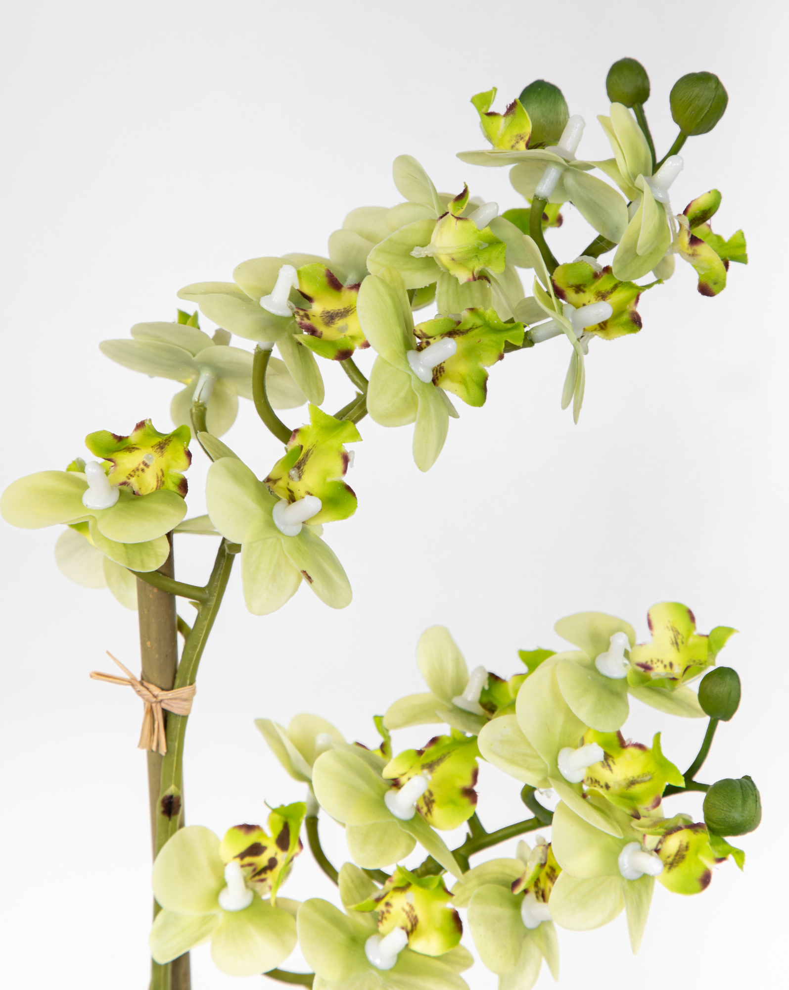 Orchidee Real Touch 38x22cm grün in weißer Keramikvase GA Kunstblumen  künstliche Blumen