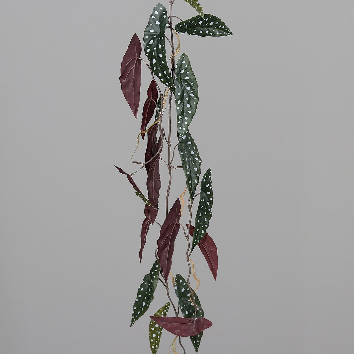 Forellenbegonien-Ranke 120cm DP Kunstpflanzen künstliche Pflanzen Ranken Polka-Dot Maculata