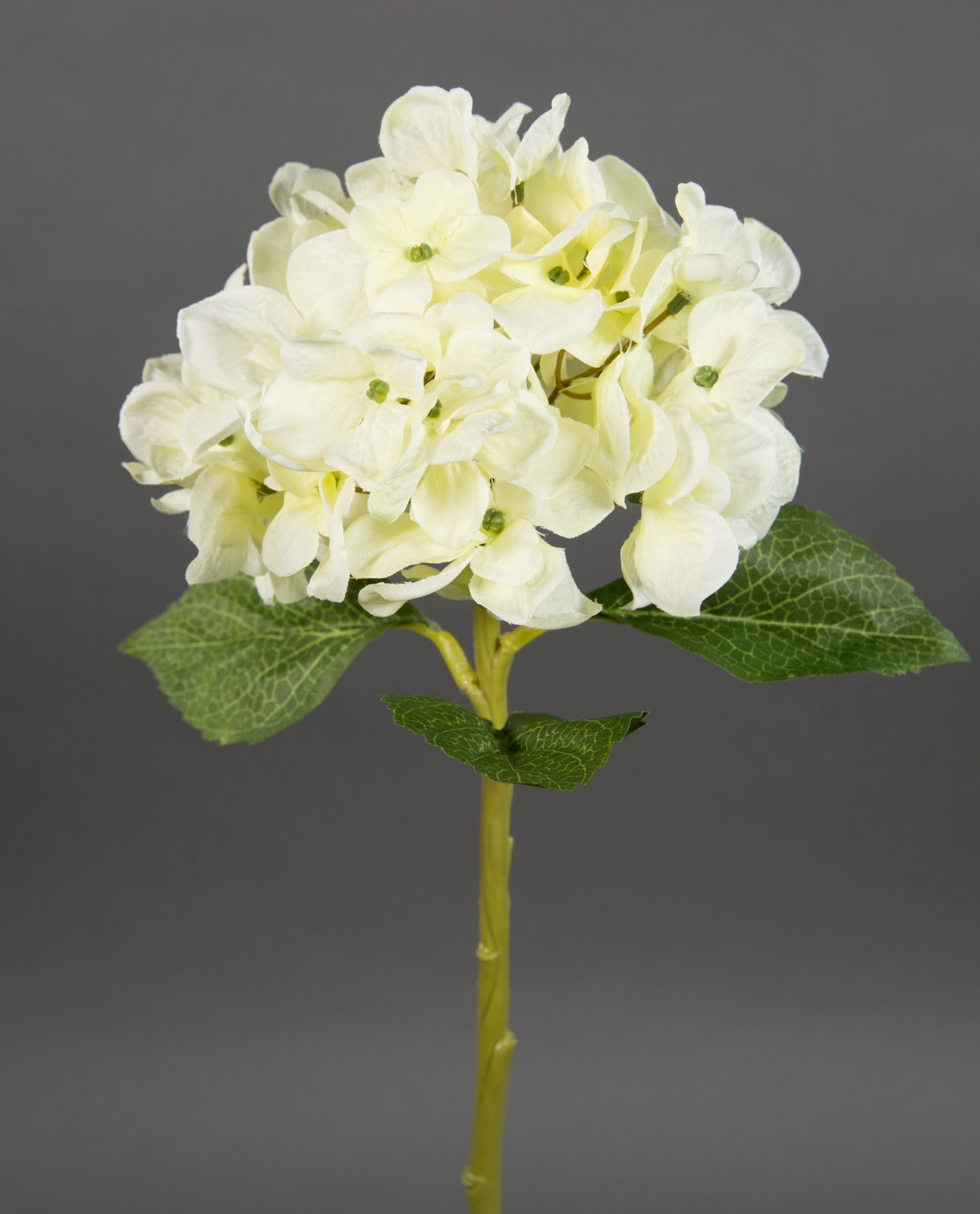 Hortensie Aqua 36cm creme-weiß FT Seidenblumen Kunstlbumen künstliche Blumen Hortensien