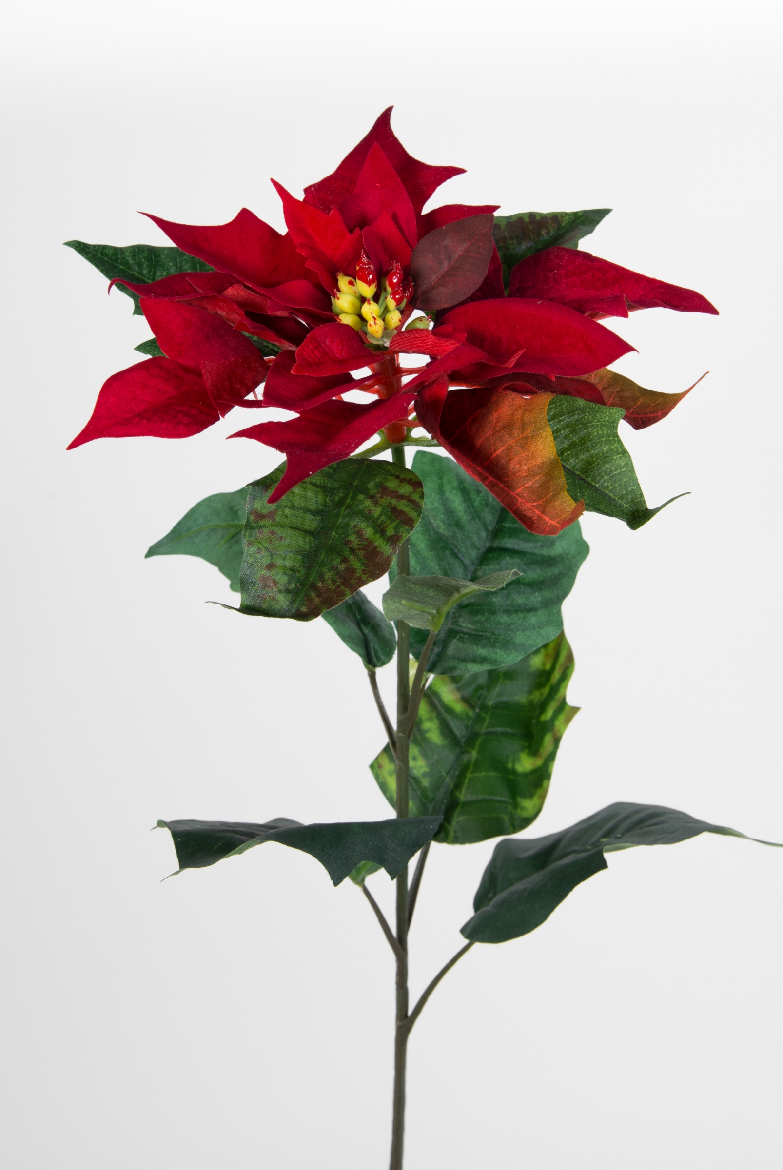 12 Stück Weihnachtsstern Natura 72cm samt-rot PM Kunstblumen künstliche Blumen Poinsettie