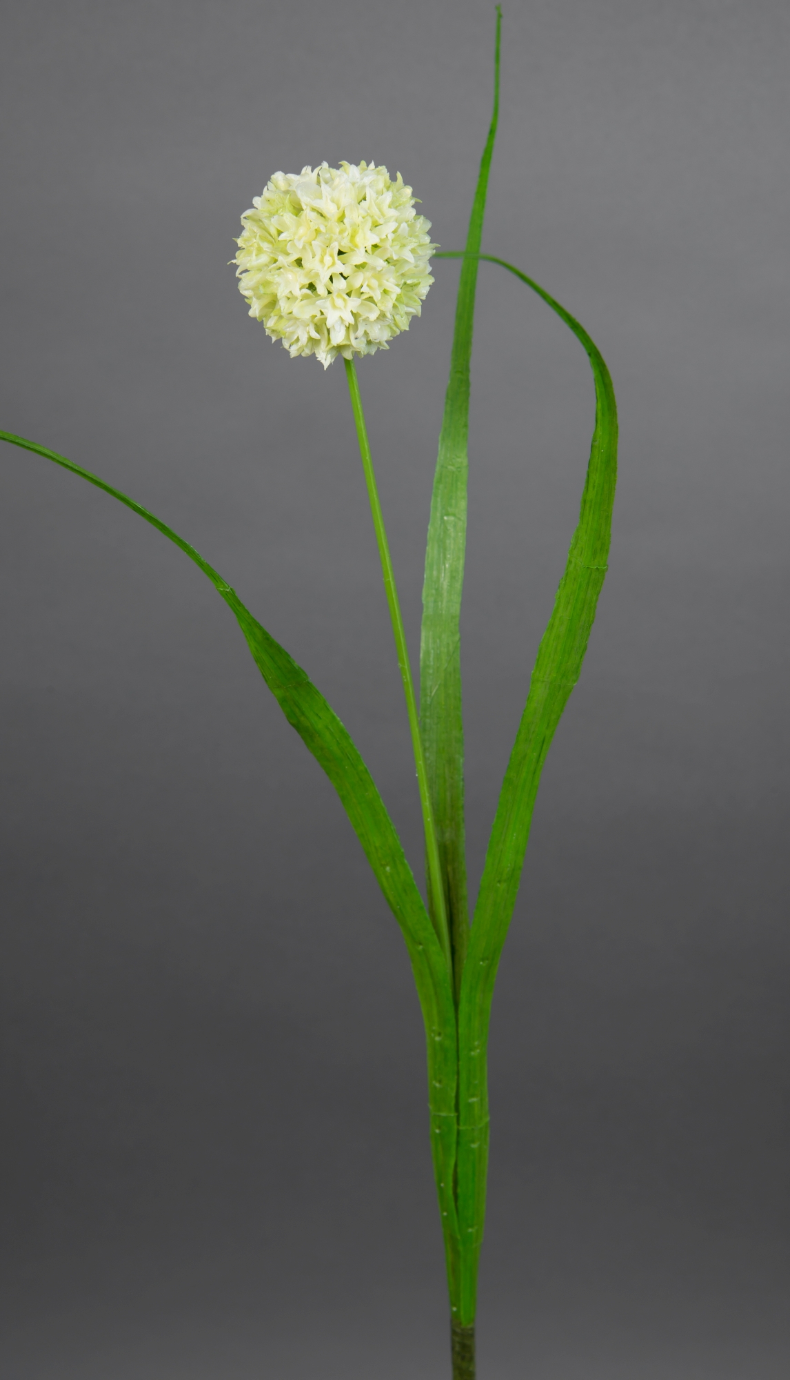 Allium mit Blätter 42cm weiß-creme FT Kunstblumen künstliche Blumen Alliumkugel