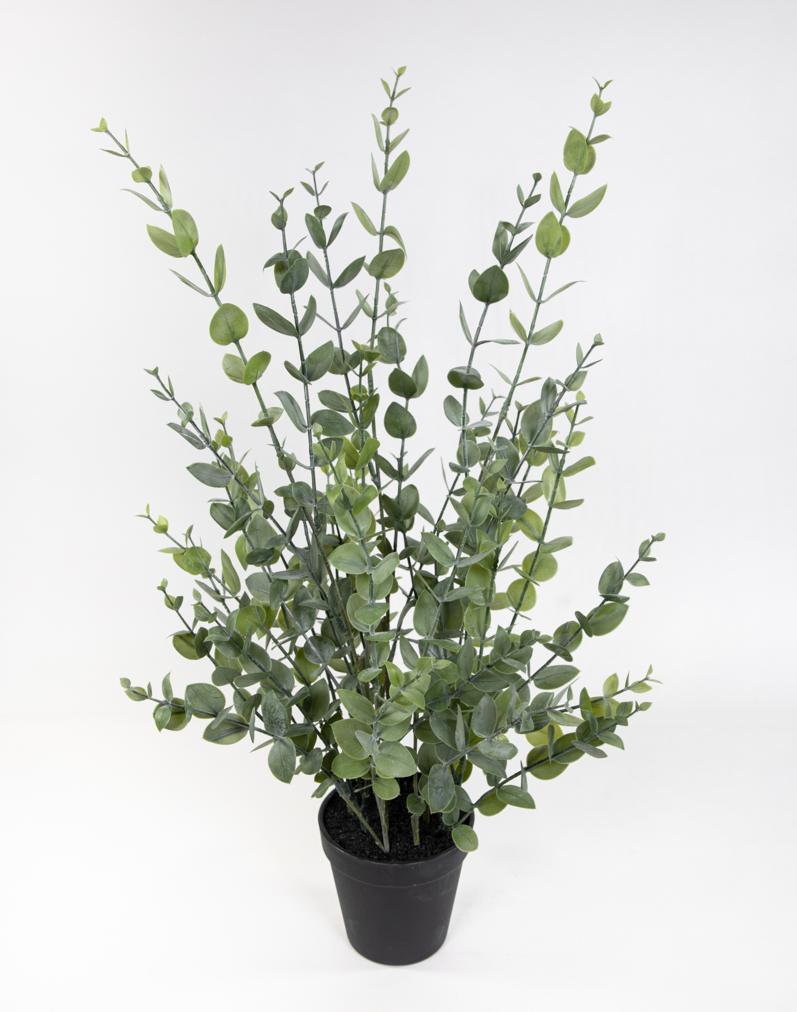 Eukalyptusbusch 60cm im Topf YF Kunstpflanzen künstliche Pflanzen Eukalyptus
