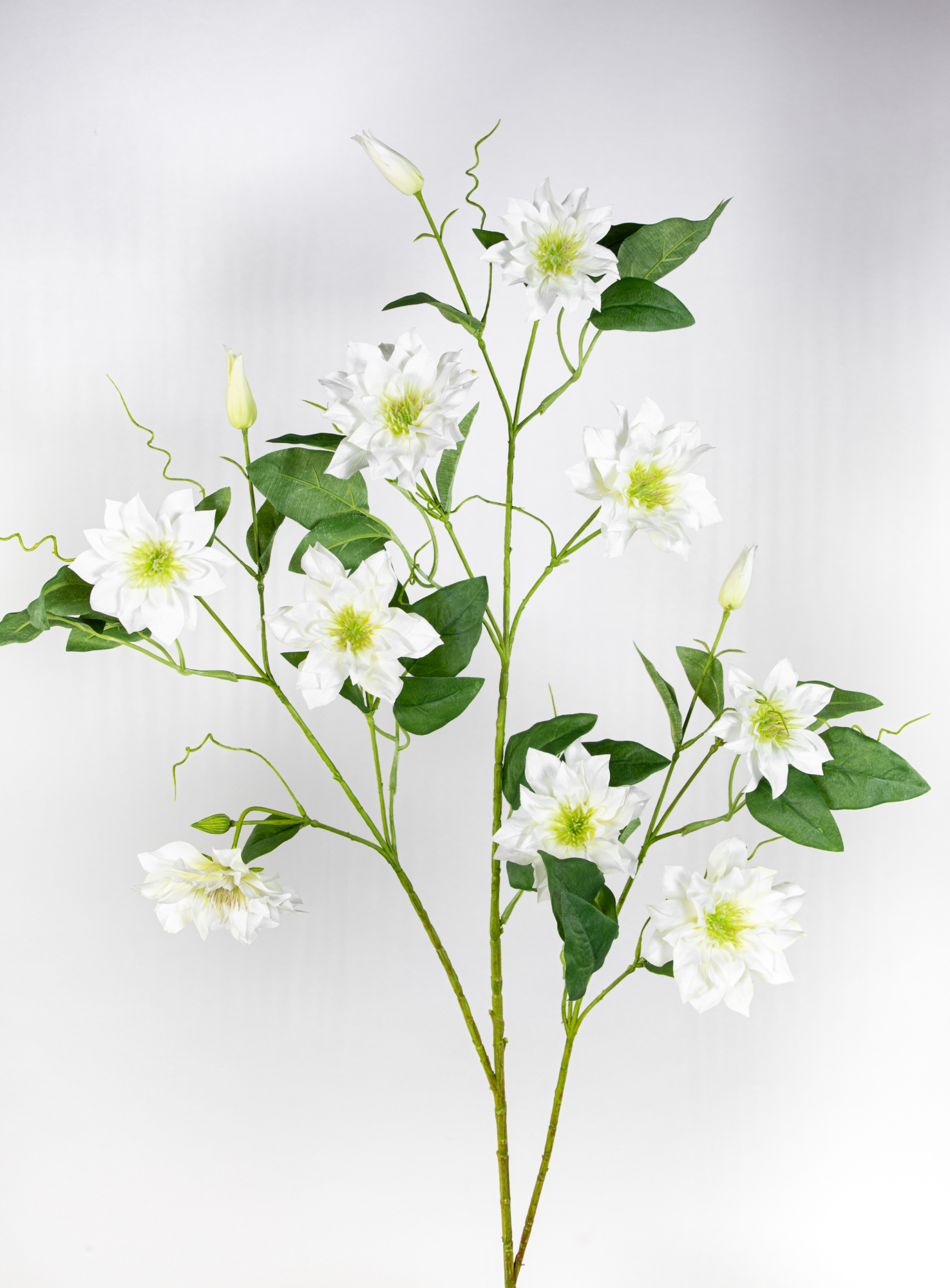 Großer Clematiszweig 115cm weiß GA Kunstblumen künstliche Clematis Waldreben Klematis Blumen Seidenblumen