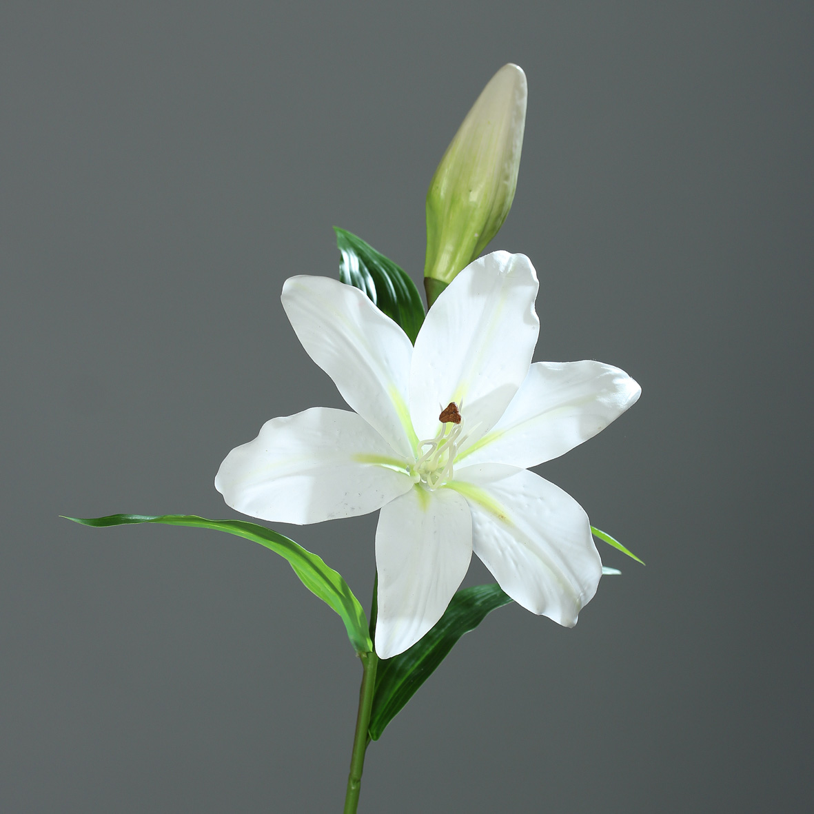 Lilie Real Touch 50cm weiß DP Kunstblumen künstliche Blumen künstlicher Lilienzweig