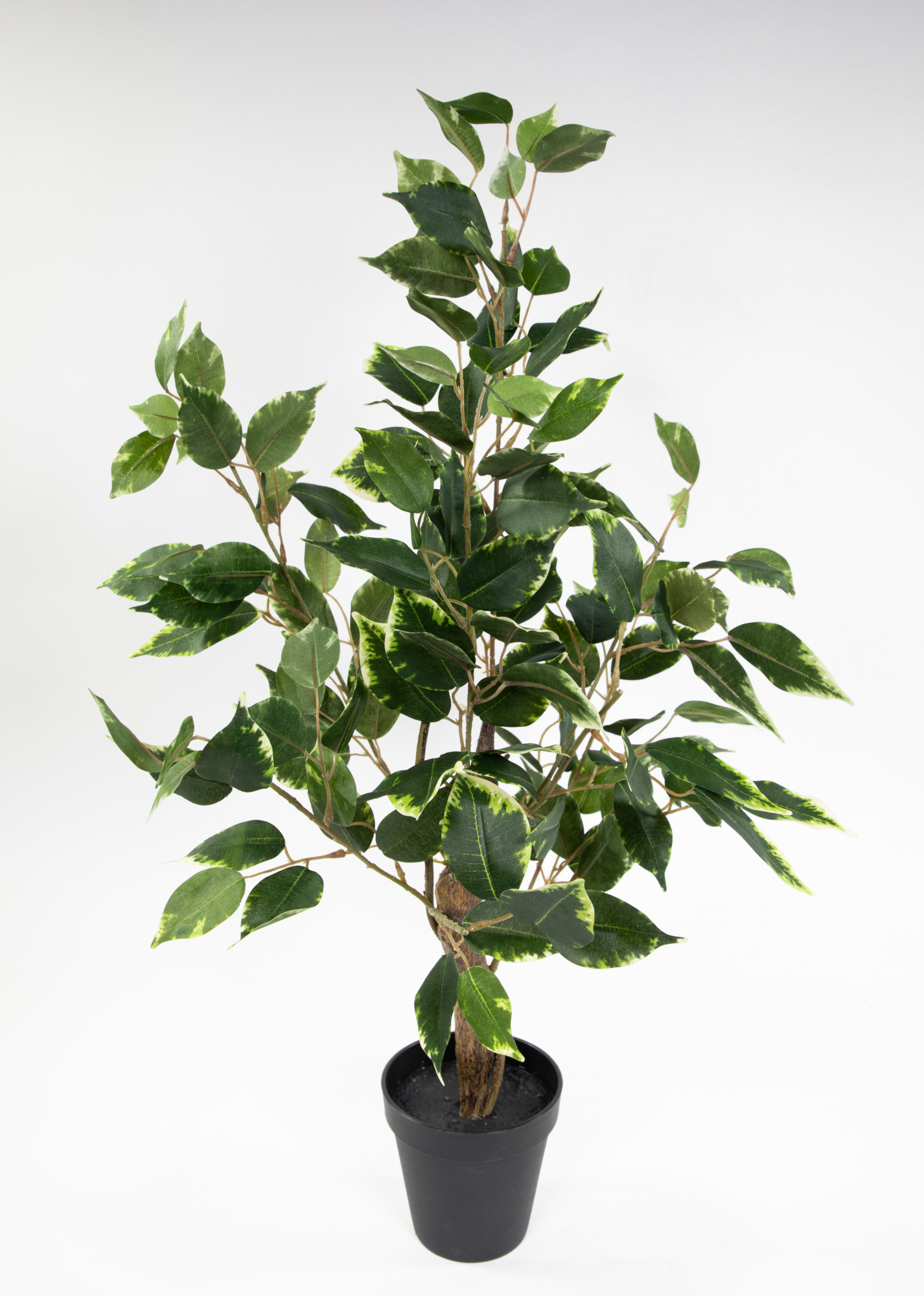 Ficus Benjamini 60cm im Topf LA Kunstpflanze künstliche Pflanzen Birkenfeige