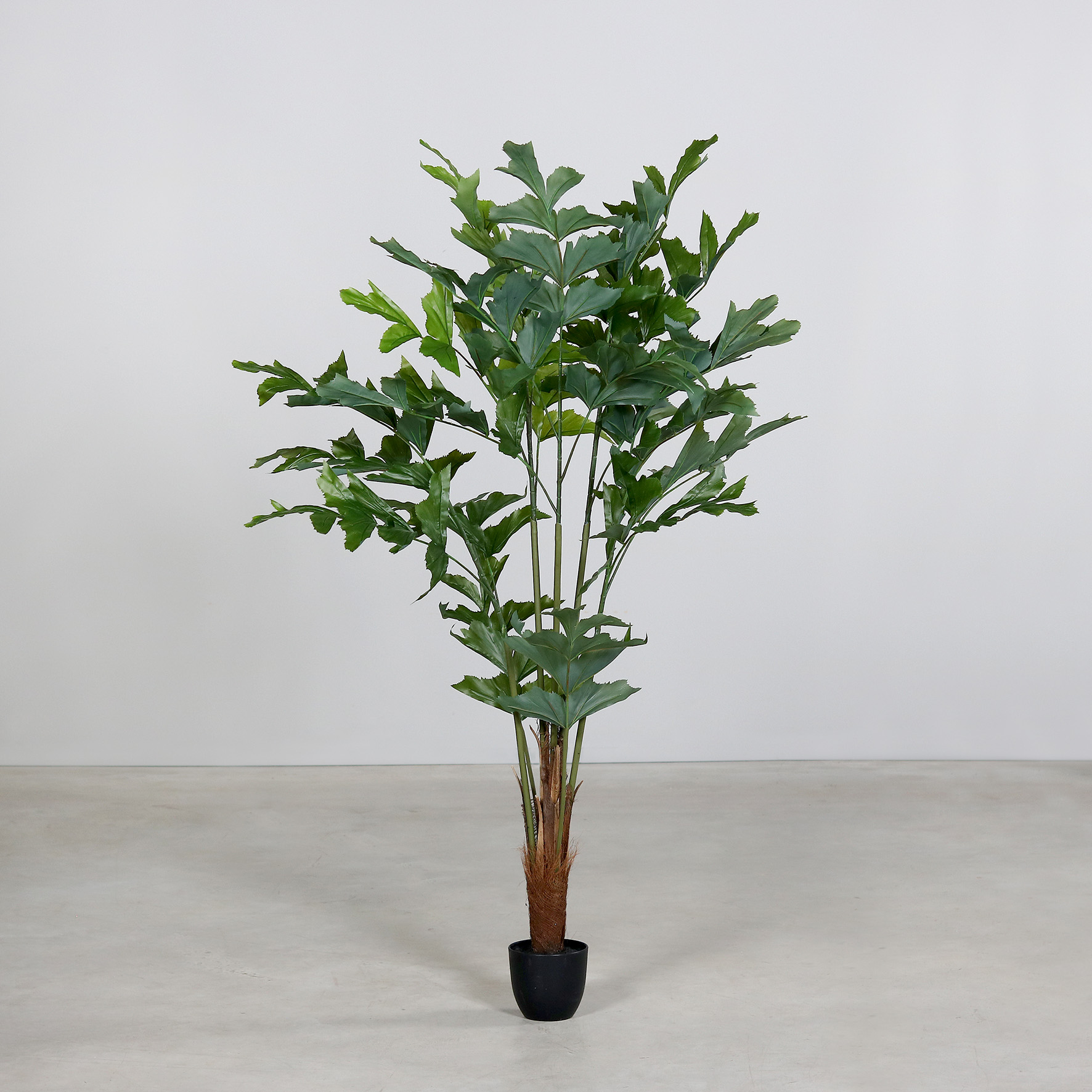 Fischschwanzpalme 135cm DP künstlicher Baum Kunstbaum Kunstpflanze künstliche Pflanzen Caryota