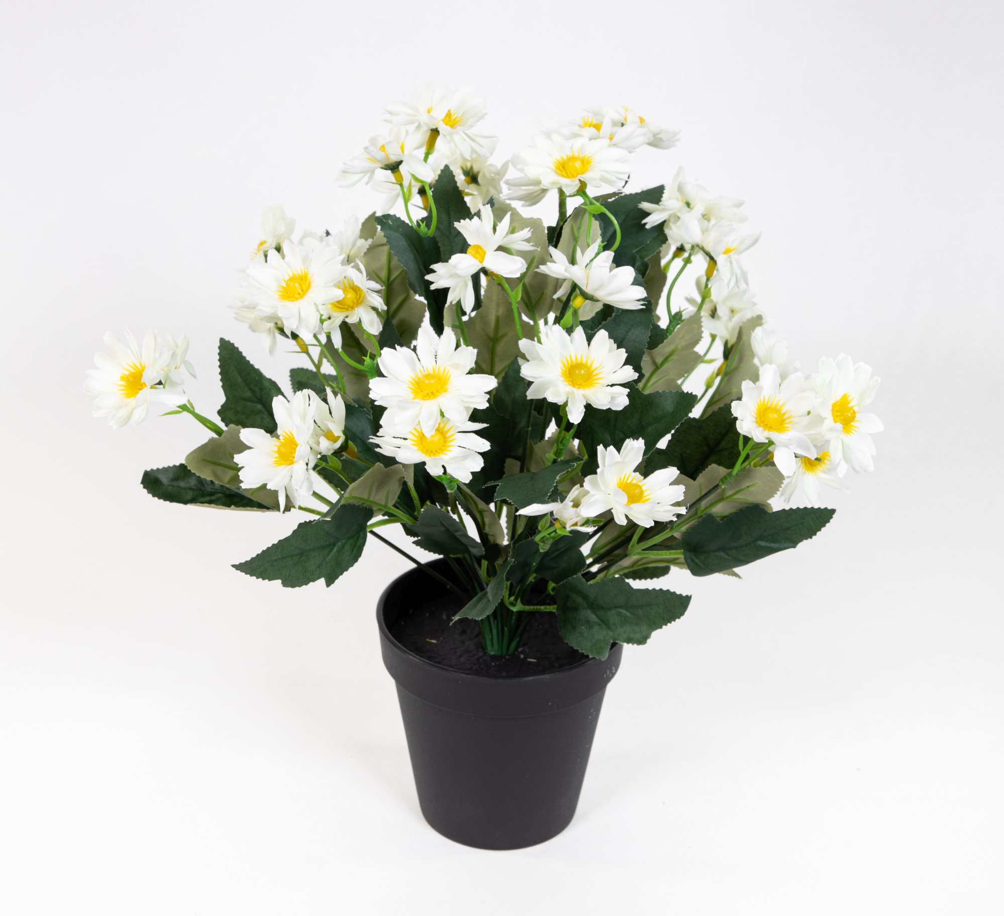 Margeritenbusch 32cm weiß im Topf JA Kunstpflanzen Kunstblumen künstliche Margerite Blumen Pflanzen