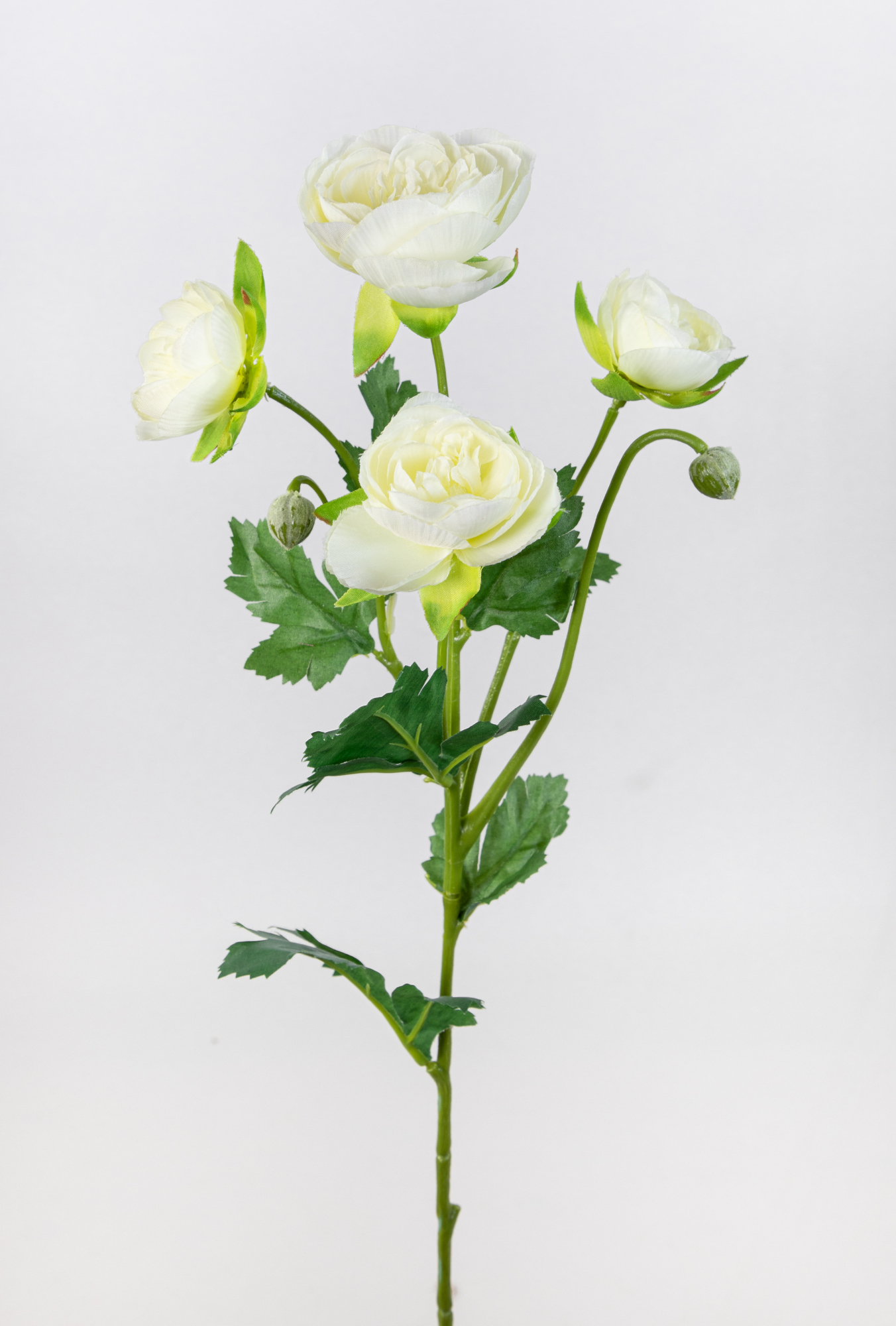 6 Stück Ranunkelzweig 60cm weiß OG Kunstblumen künstliche Ranunkel Hahnenfuß Blumen Seidenblumen
