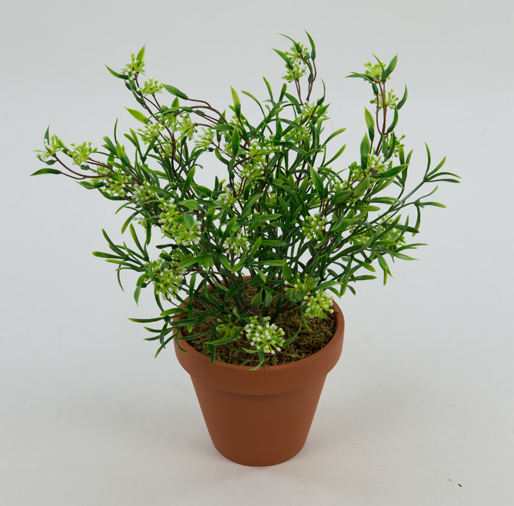 Astilbenbusch weiß-grün 28cm im Topf AR Kunstpflanzen Kunstblumen künstliche Pflanze Astilbe