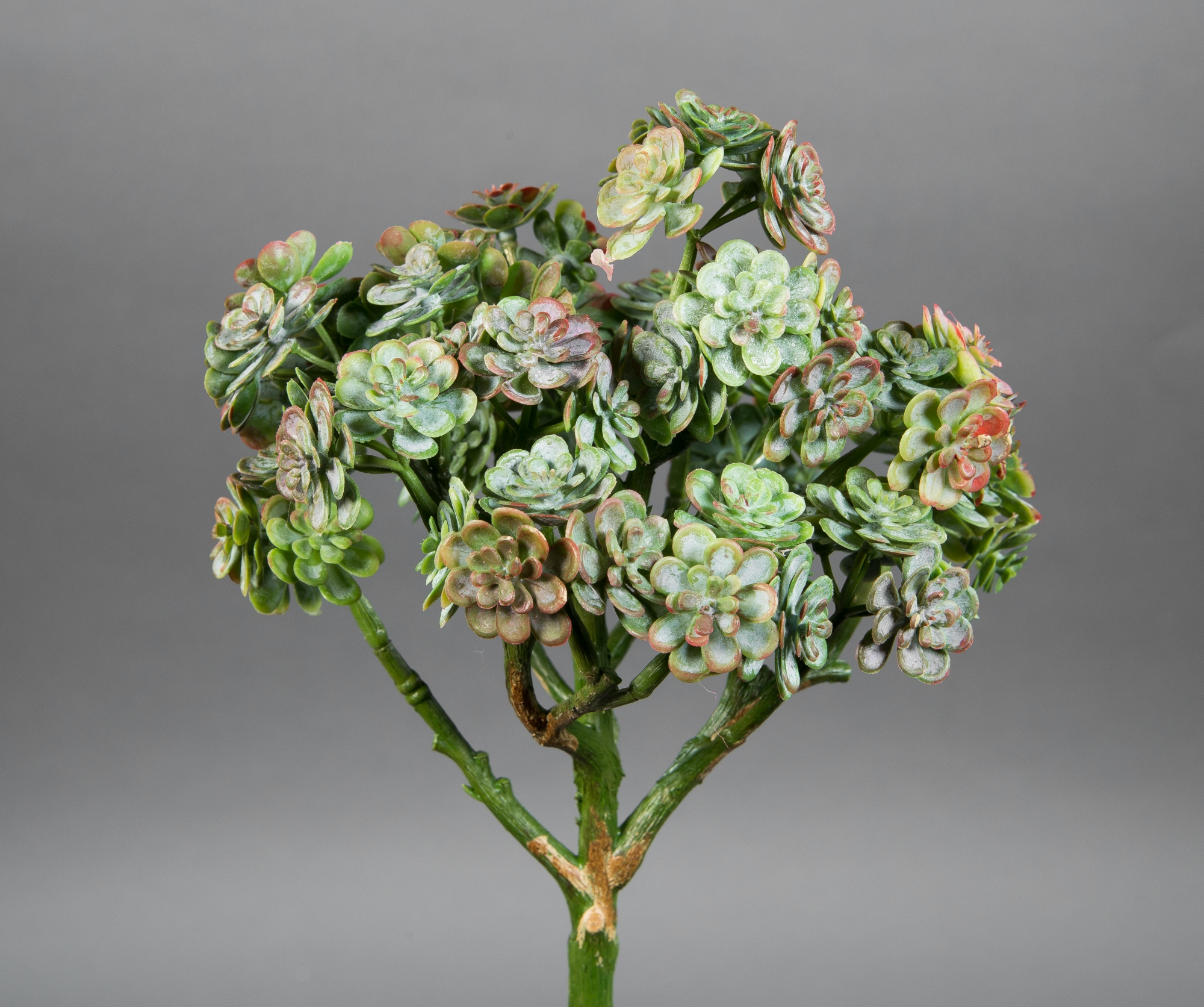 Sukkulente Sempervivum / Hauswurz 24cm grün-orange -ohne Topf- DP Kunstpflanze künstliche Pflanzen