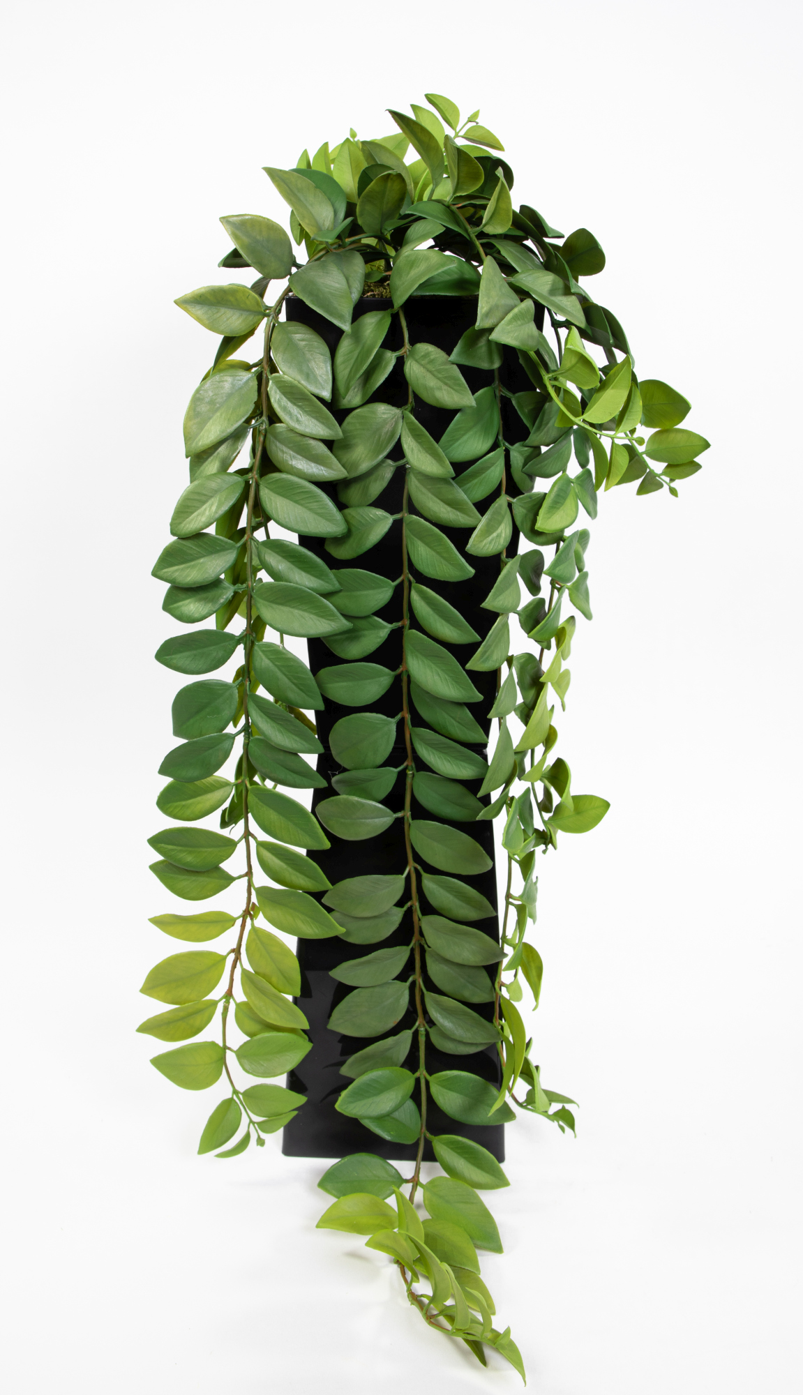 Columnearanke 85cm GA Kunstpflanzen künstliche Pflanzen Ranken Rachenrebe Columnea