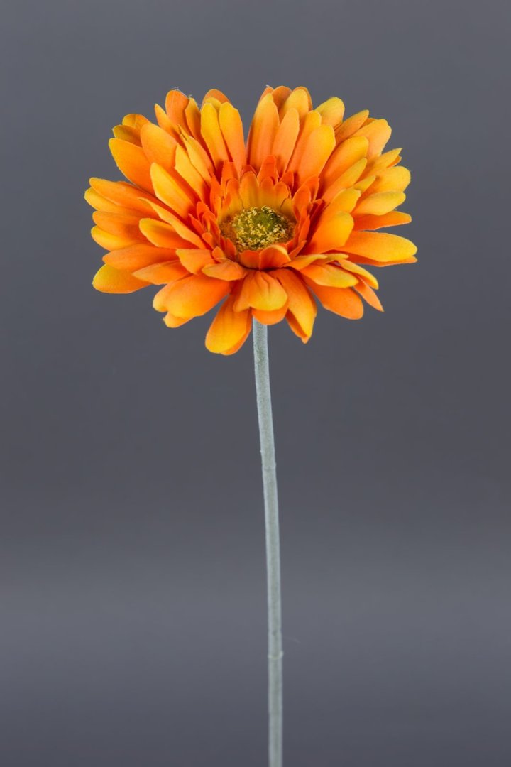 Gerbera 56cm orange DP Kunstblumen Seidenblumen künstliche Blumen
