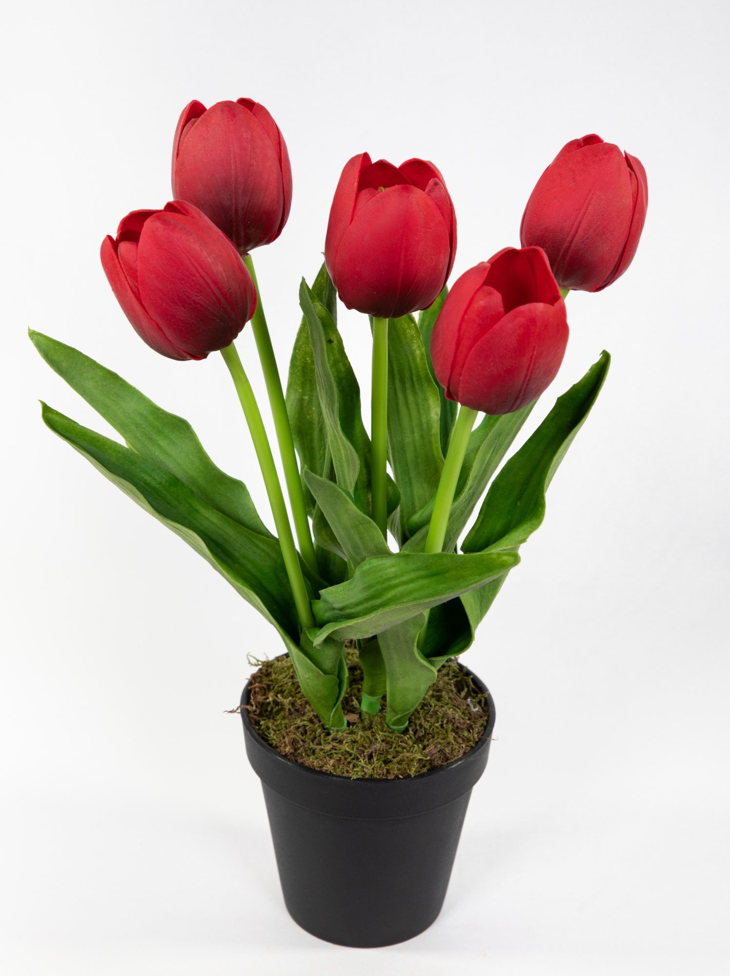 Künstliche Tulpen PU Real Touch 36cm rot im Topf ZF Kunstblumen künstliche Blumen Tulpen