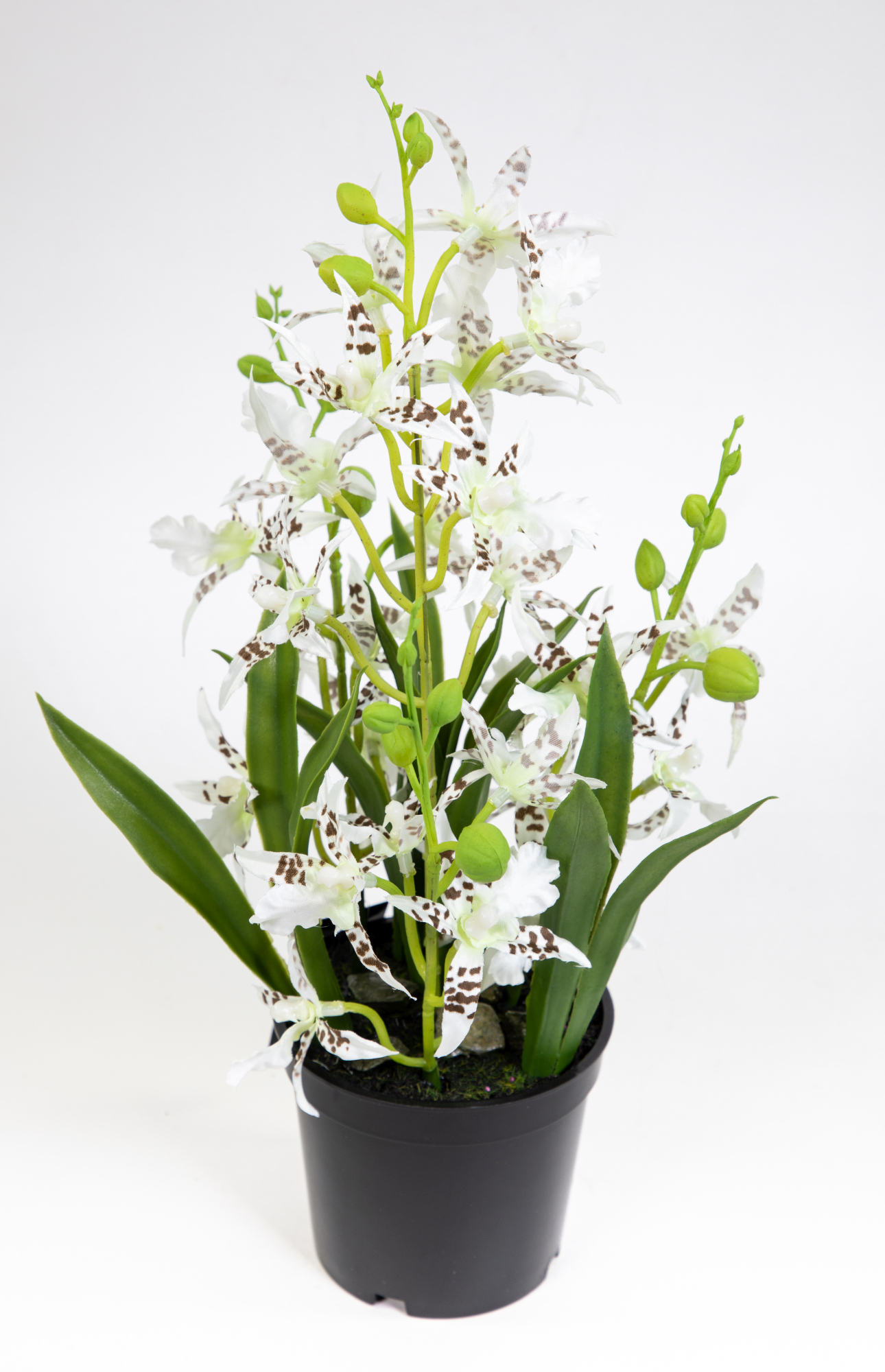 Künstliche Orchidee Dancing Queen 34cm weiß im Topf JA Blumen Pflanzen Kunstblumen Kunstpflanzen