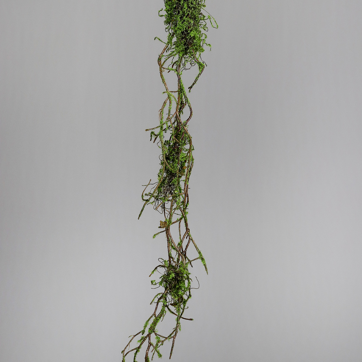 Moos-Ranke / Moos-Girlande 120cm DP künstliche Pflanzen Ranken Moosranke Liane