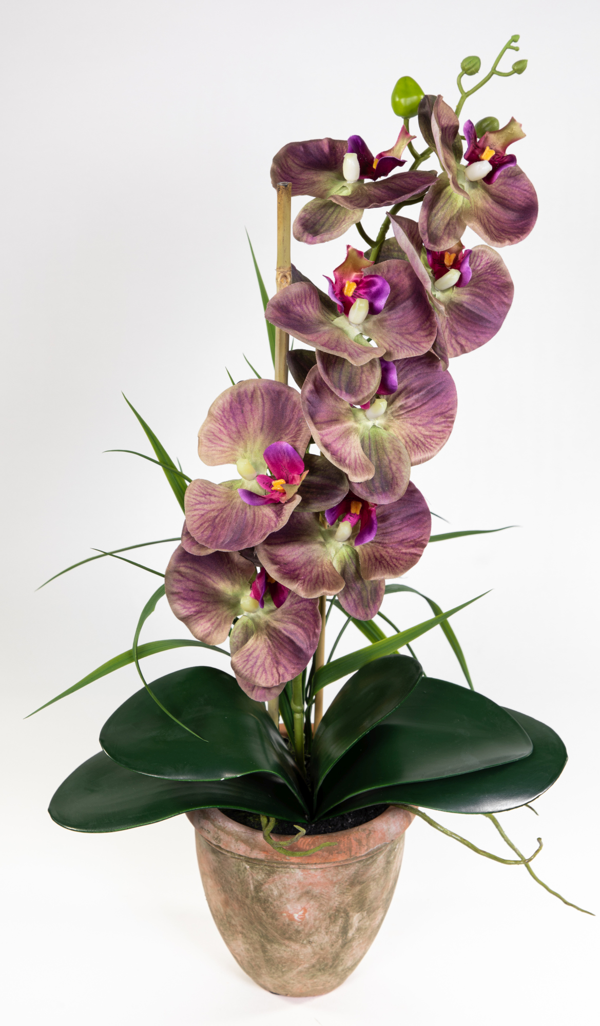 Orchidee 60cm lila-grün im Terracottatopf GA künstliche Phalaenopsis Blumen Kunstblumen