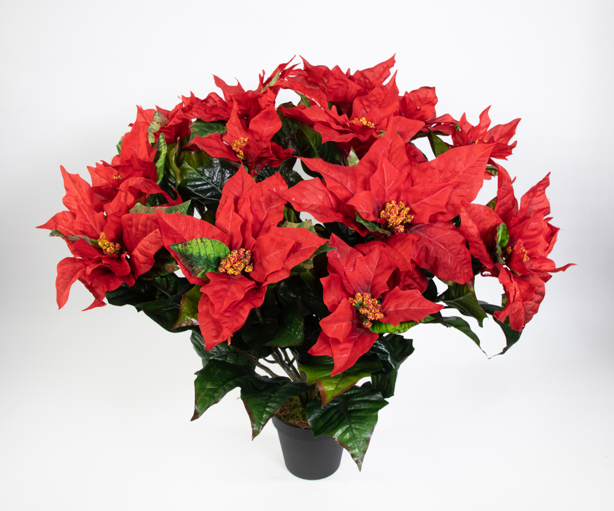 Weihnachtsstern 65x60cm im Topf rot PM künstliche Pflanze Blume Kunstpflanzen Kunstblumen Poinsettie