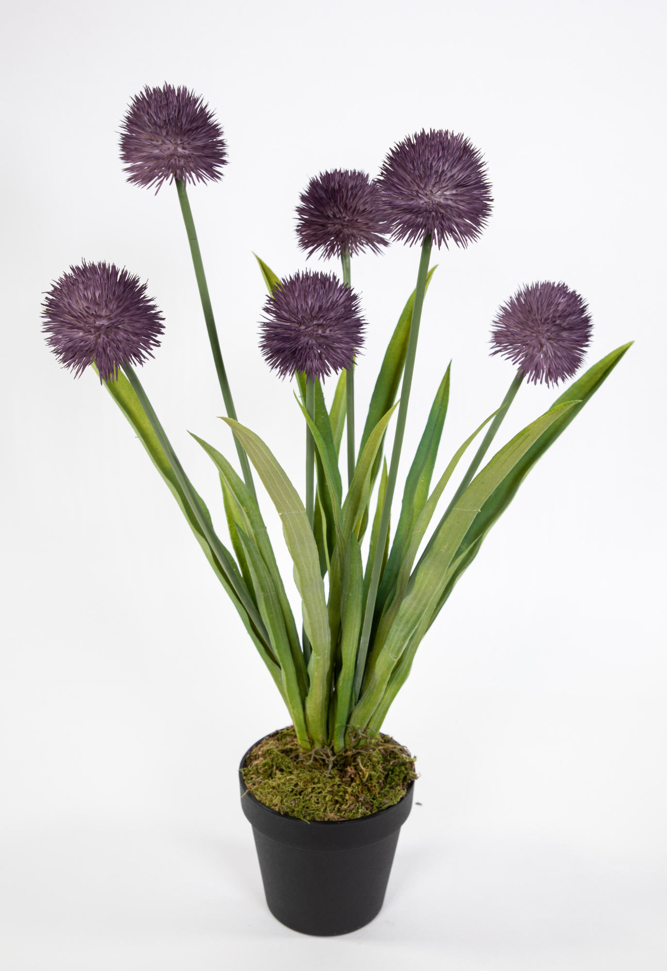 Alliumpflanze 60cm lila im Topf GA Kunstpflanzen Kunstblumen künstliche Pflanzen Blumen Allium