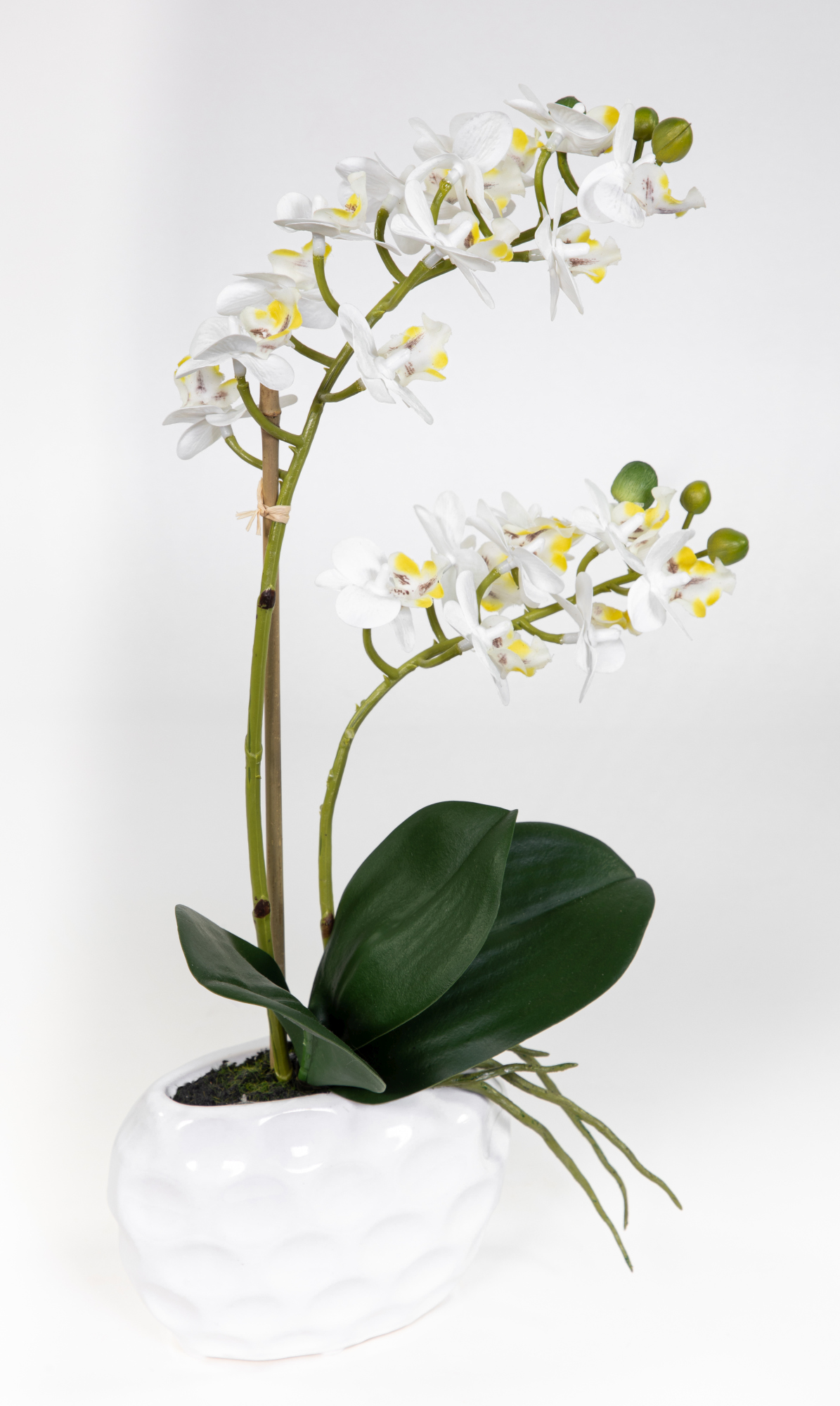Orchidee Real Touch 38x22cm weiß in weißer Keramikvase GA Kunstblumen künstliche Blumen