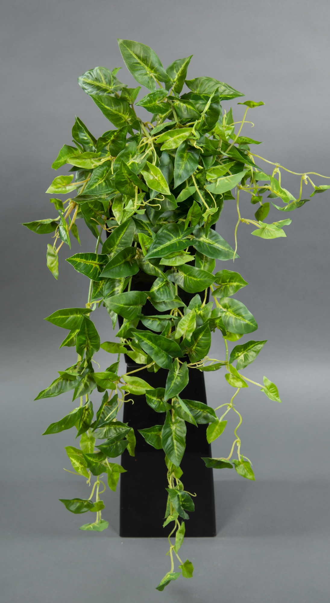 Syngonium-Ranke Real Touch 65cm grün-gelb ZF Kunstpflanzen künstliche Pflanzen Syngoniumbusch