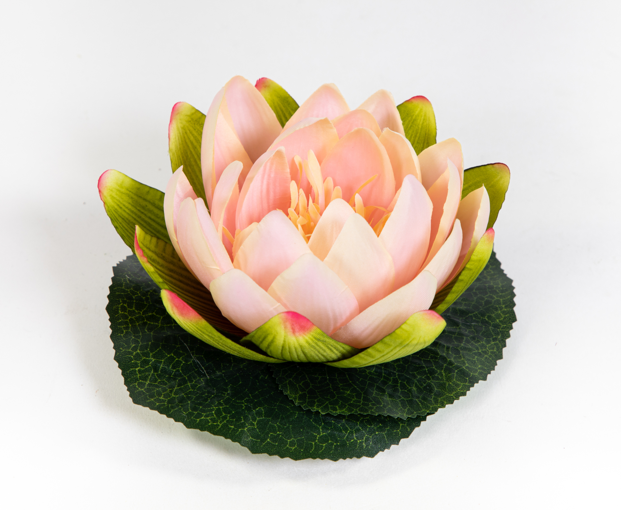 Lotusblüte / Seerose 17x15cm peach JA Kunstblumen künstliche Blumen Rose Schwimmrose Lotus Nymphaea
