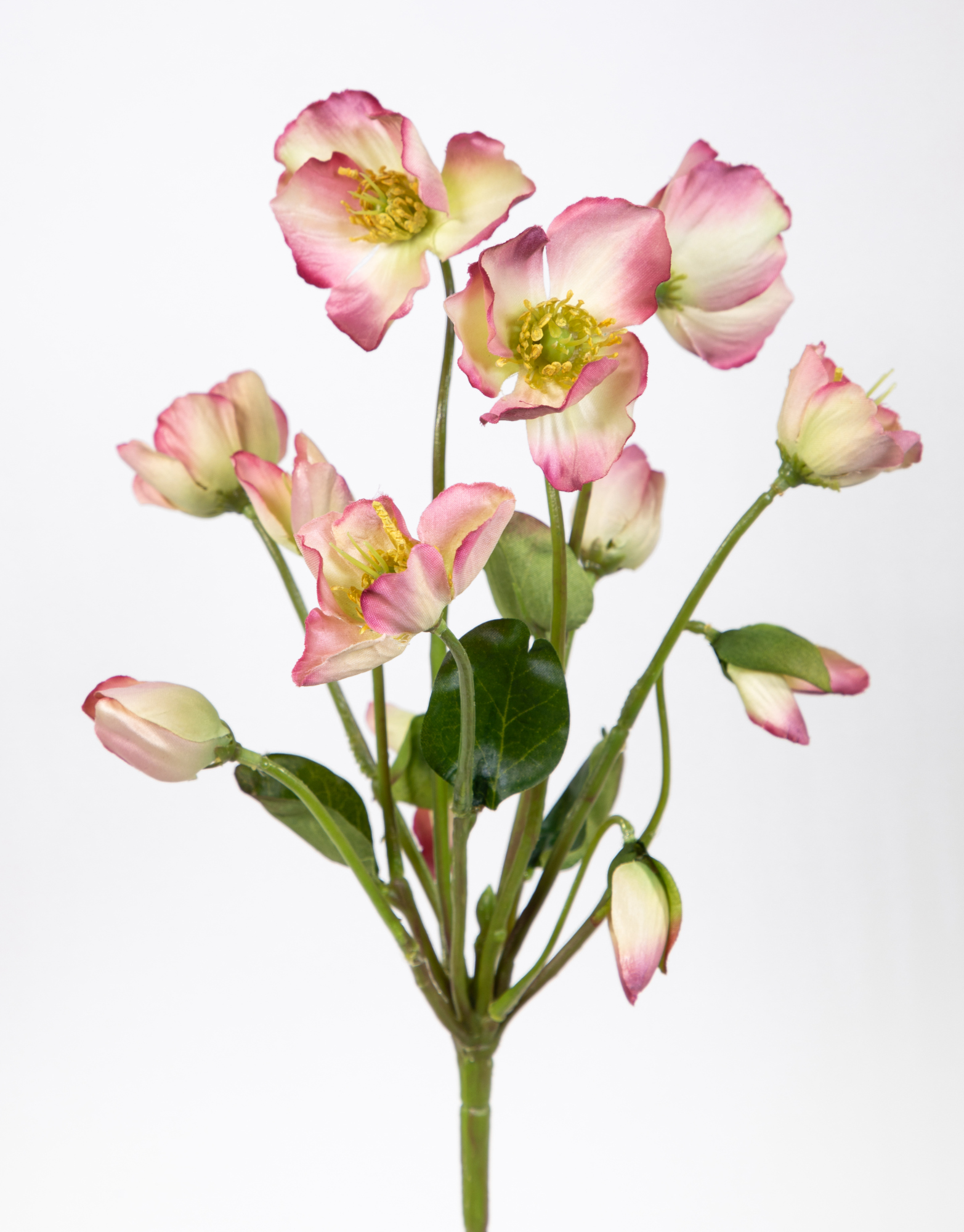 Christrosenbusch Natural 30cm rosa FT Kunstblumen künstliche Christrose Blumen Helleborus