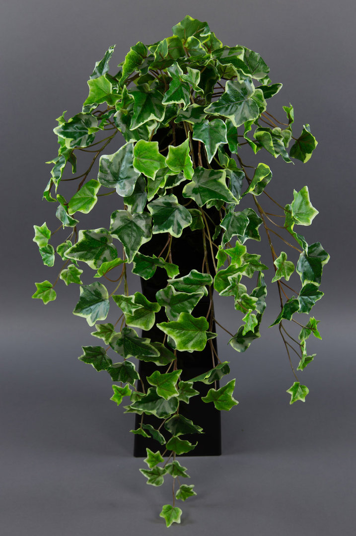 Efeubusch Real Touch 75cm grün-weiß DP Kusntpflanzen künstliches Efeu Efeuranke