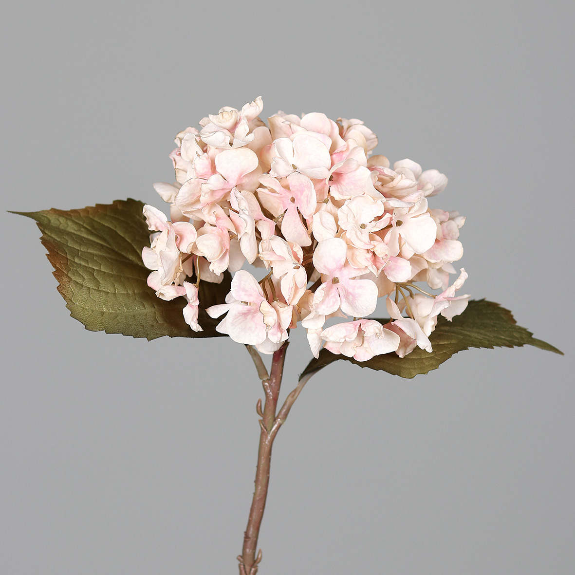 Hortensie Nature 45cm rosee DP Seidenblumen Kunstlbumen künstliche Blumen Hortensien Hydrangea
