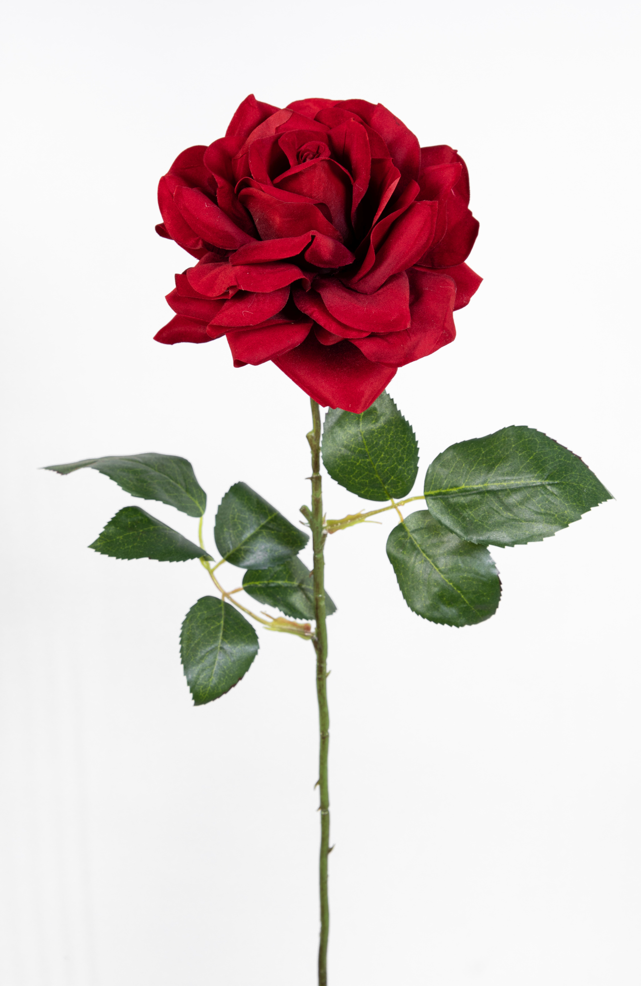 Große Rose Nature 66x14cm samt-rot CG Kunstblumen künstliche Rose Rosen Blumen Seidenblumen