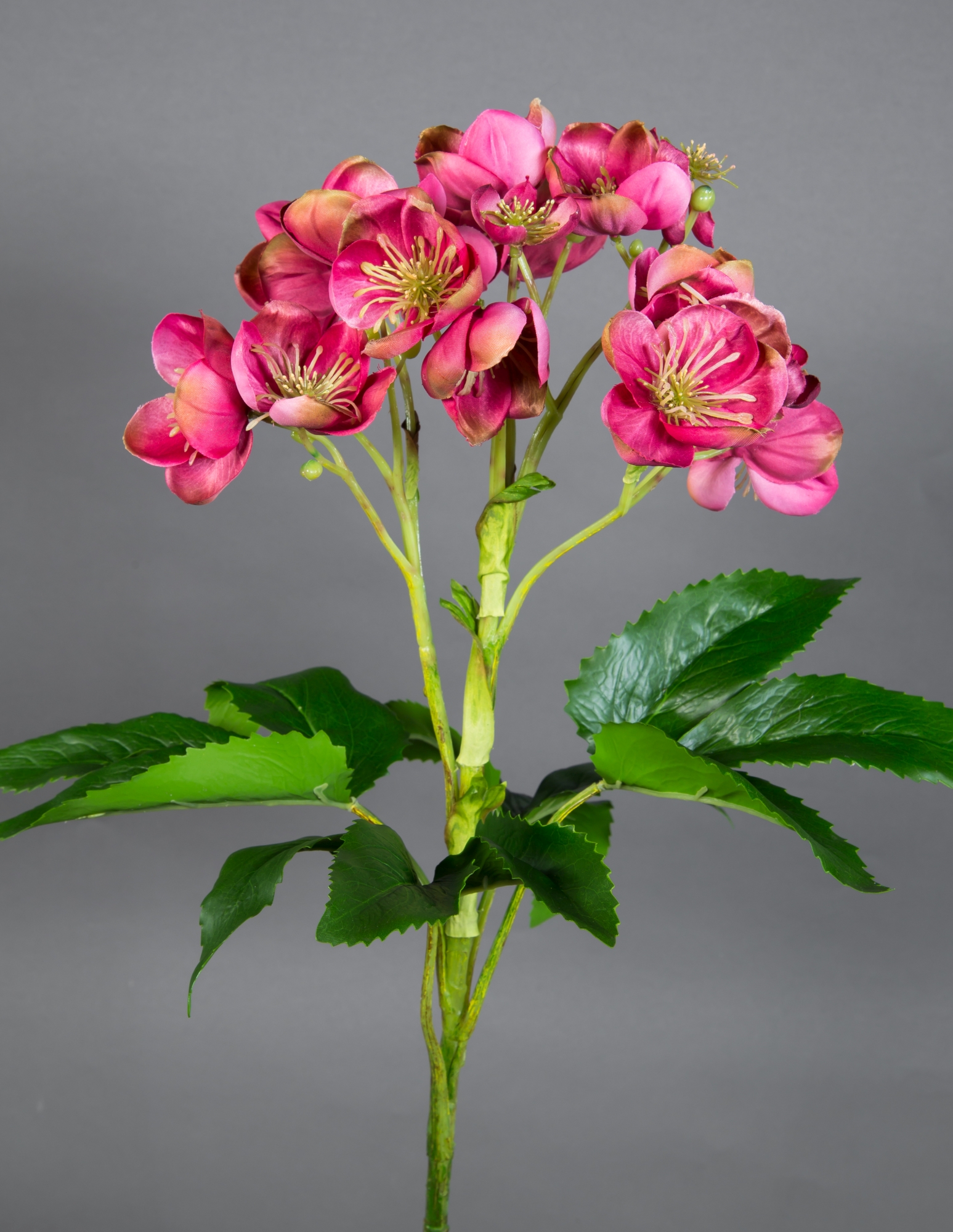 GA Helleborus 58x45cm Kunstblumen Natural künstliche Christrose Blumen Christrose pink-rosa Pflanzen