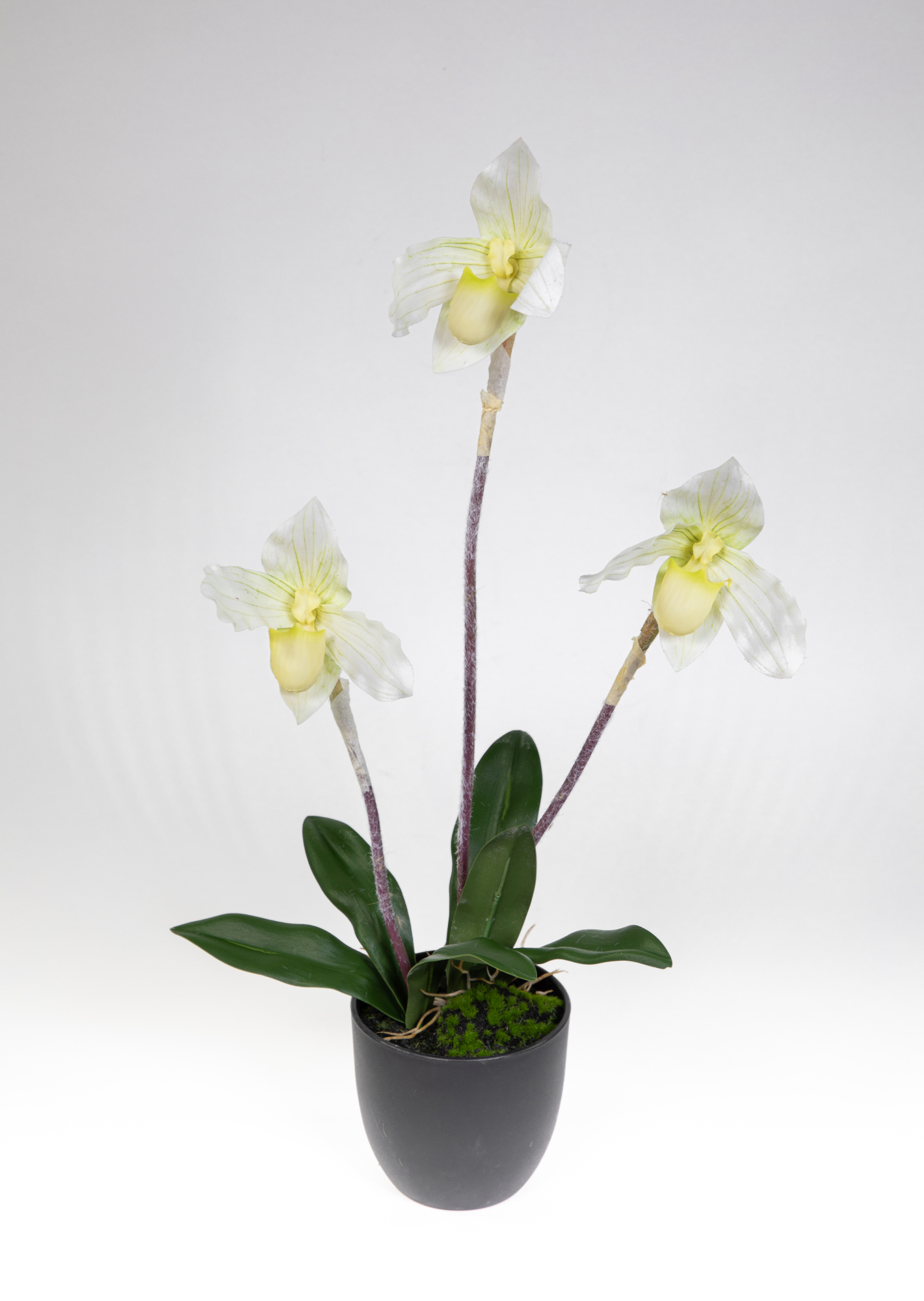 Orchidee Frauenschuh 42cm weiß GA künstliche Blumen Pflanzen Kunstpflanzen Kunstblumen