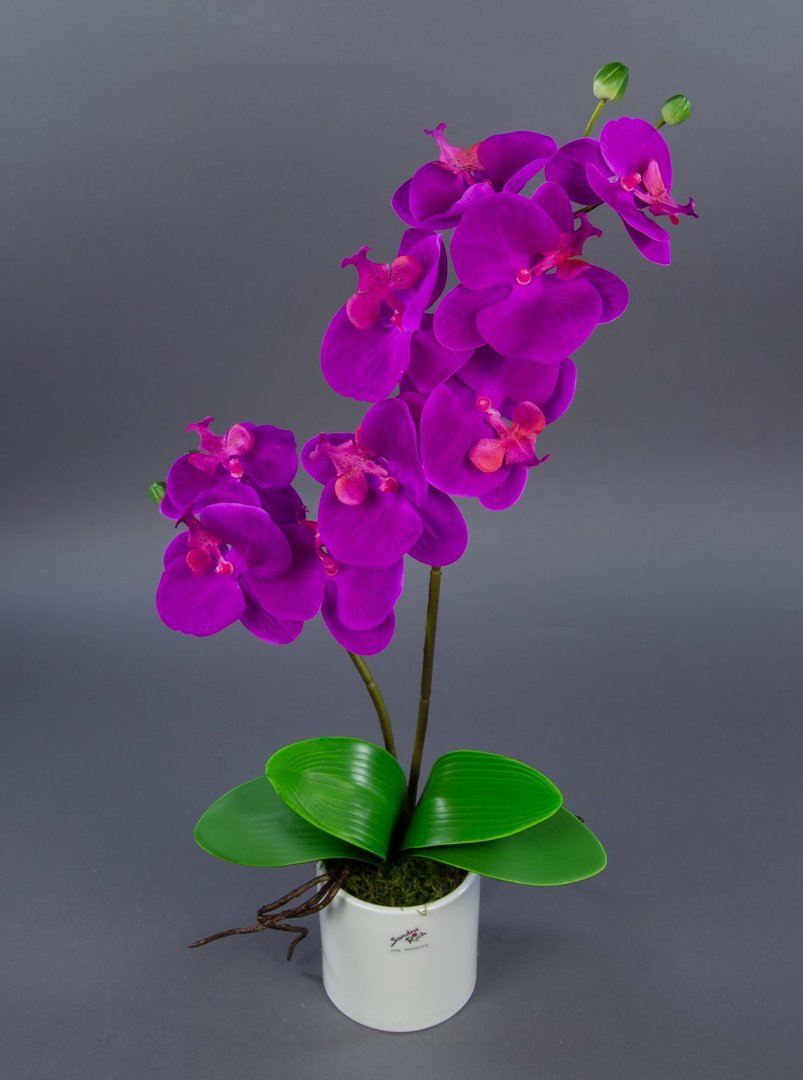 Orchidee Real Touch 60cm fuchsia im weißen Keramiktopf GA künstliche Blumen Kunstpflanzen Kunstblume