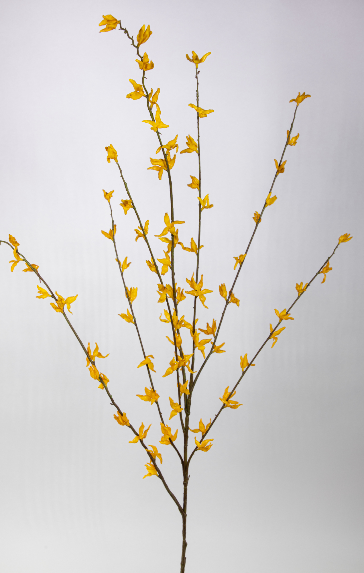 Forsythienzweig 120cm JA Kunstblumen künstliche Forsythie Goldflieder Goldglöckchen Blumen