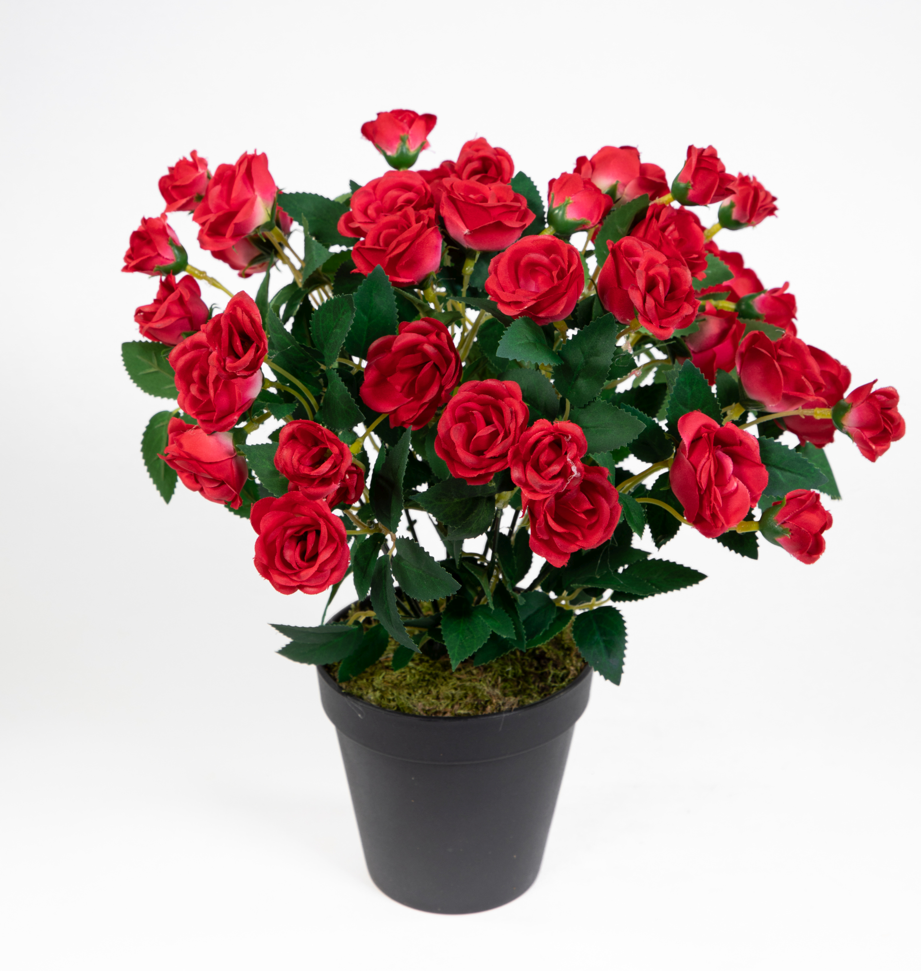 Rosenbusch 30cm rot im Topf ZF Kunstpflanzen Kunstblumen künstliche Blumen Rosenstrauch Rosen