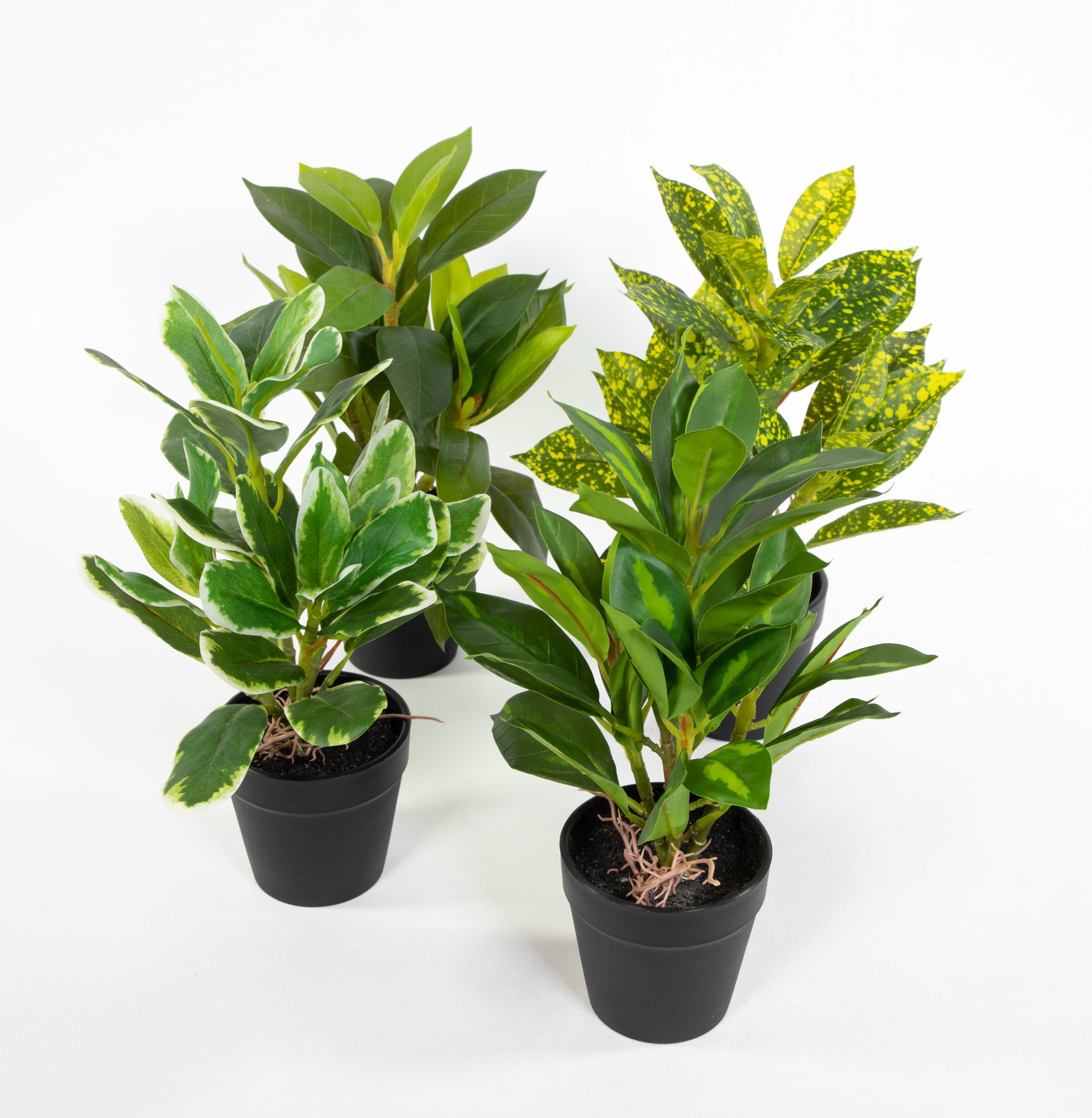 4er Pflanzen-Set 18-20cm im Topf GA Kunstpflanzen künstliche Pflanzen