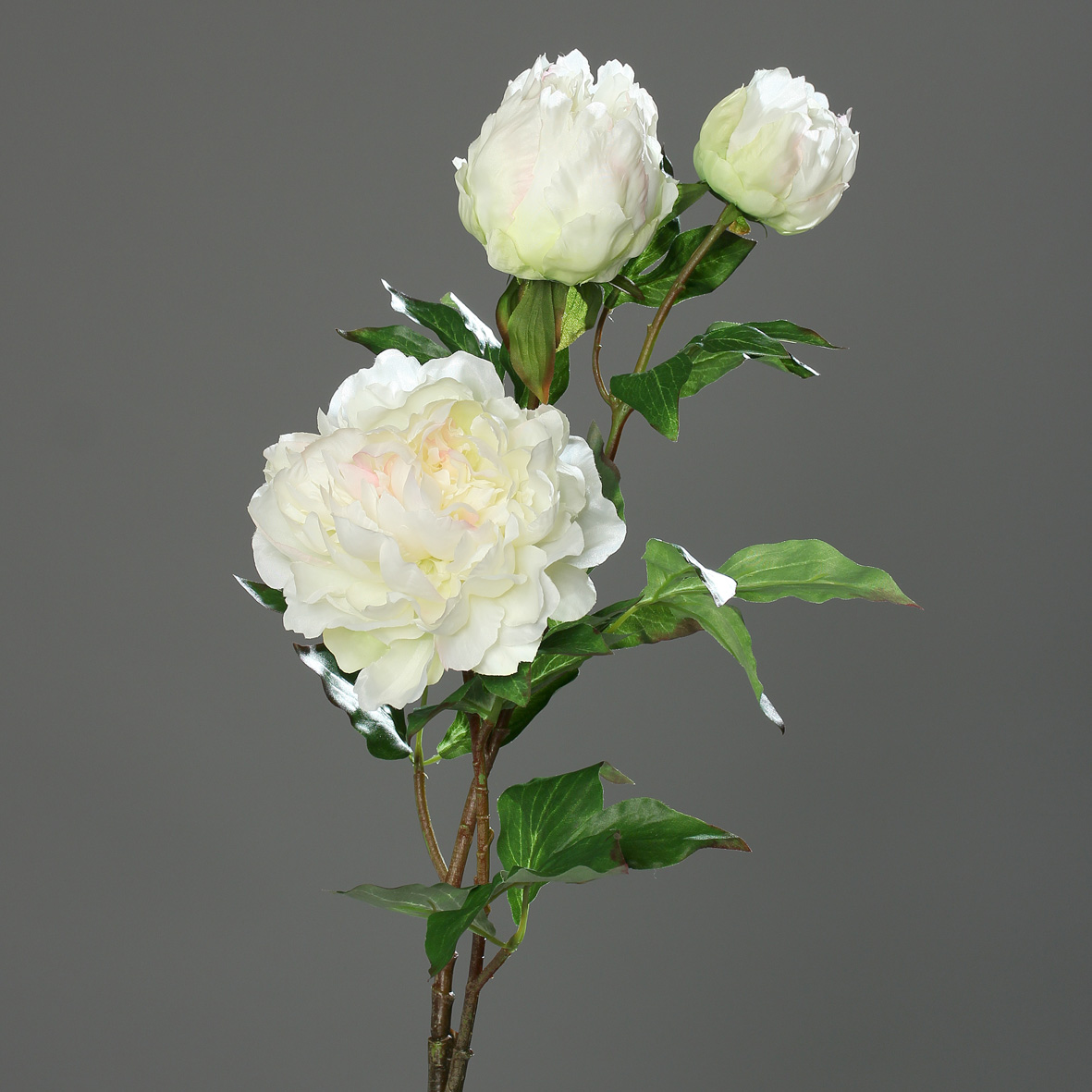 Große Pfingstrose mit 3 Blüten 82cm weiß-creme DP Kunstblumen Seidenblumen künstliche Blumen Päonie