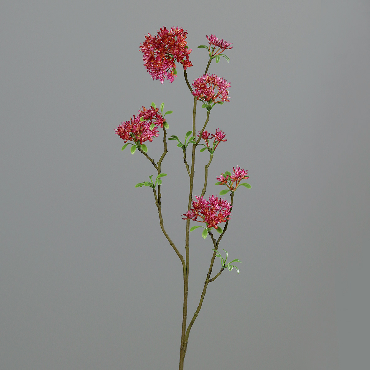 Bouvardienzweig 85cm pink GA Kunstblumen künstliche Bowardien Bouvardien Blumen Zweige