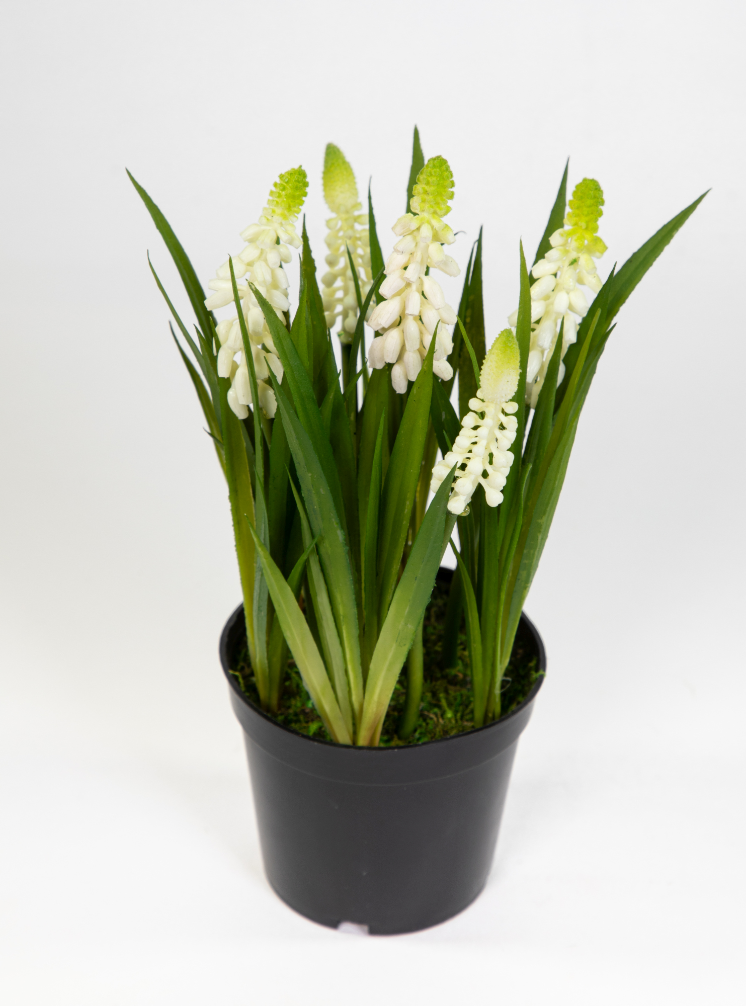 Traubenhyazinthe / Hyazinthe 22cm weiß im Topf JA Kunstblumen künstliche Muscari Blumen Pflanzen