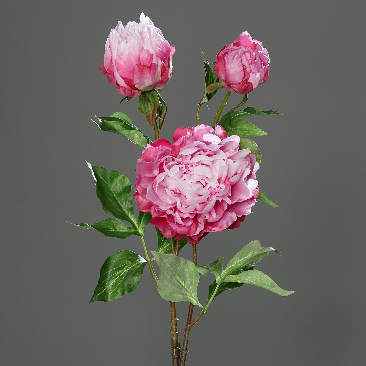 Große Pfingstrose mit 3 Blüten 82cm rosa-pink DP Kunstblumen Seidenblumen künstliche Blumen Päonie