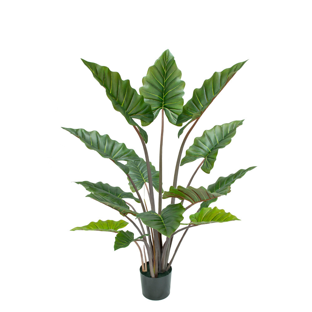 Taro-Pflanze / Colocasia Esculenta 150cm ZF Kunstpflanzen künstlicher Pflanzen Blattpflanze