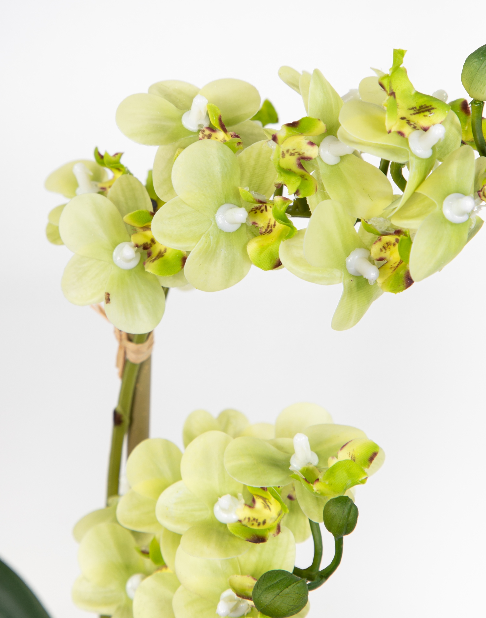 in Real weißer Touch grün künstliche Blumen Keramikvase 38x22cm Kunstblumen GA Orchidee