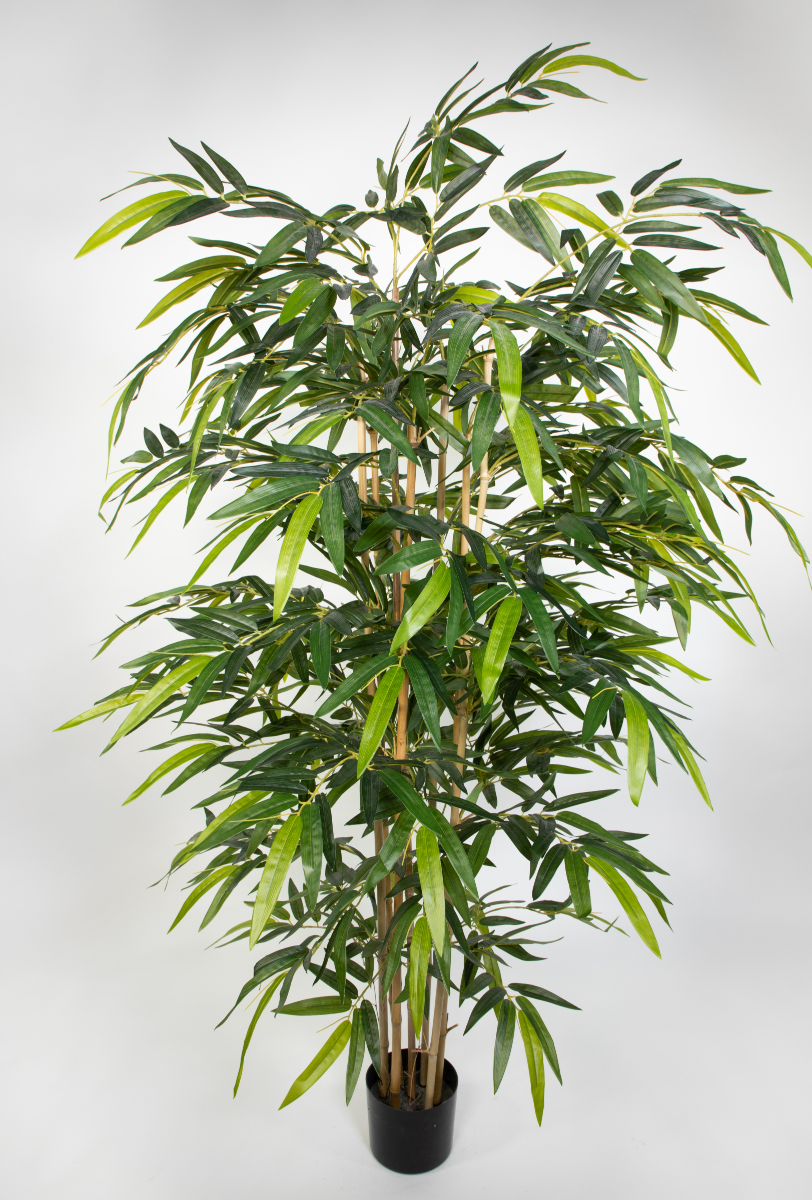 Thai-Bambus 180cm LA Kunstbaum Dekobaum Kunstpflanzen künstlicher Baum Pflanzen Kunstbambus