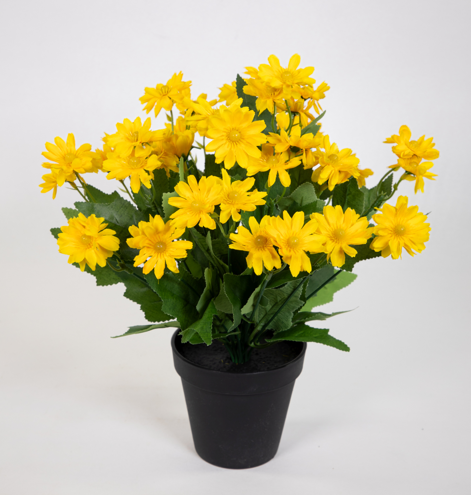 Margeritenbusch 32cm gelb im Topf JA Kunstpflanzen Kunstblumen künstliche Margerite Blumen Pflanzen
