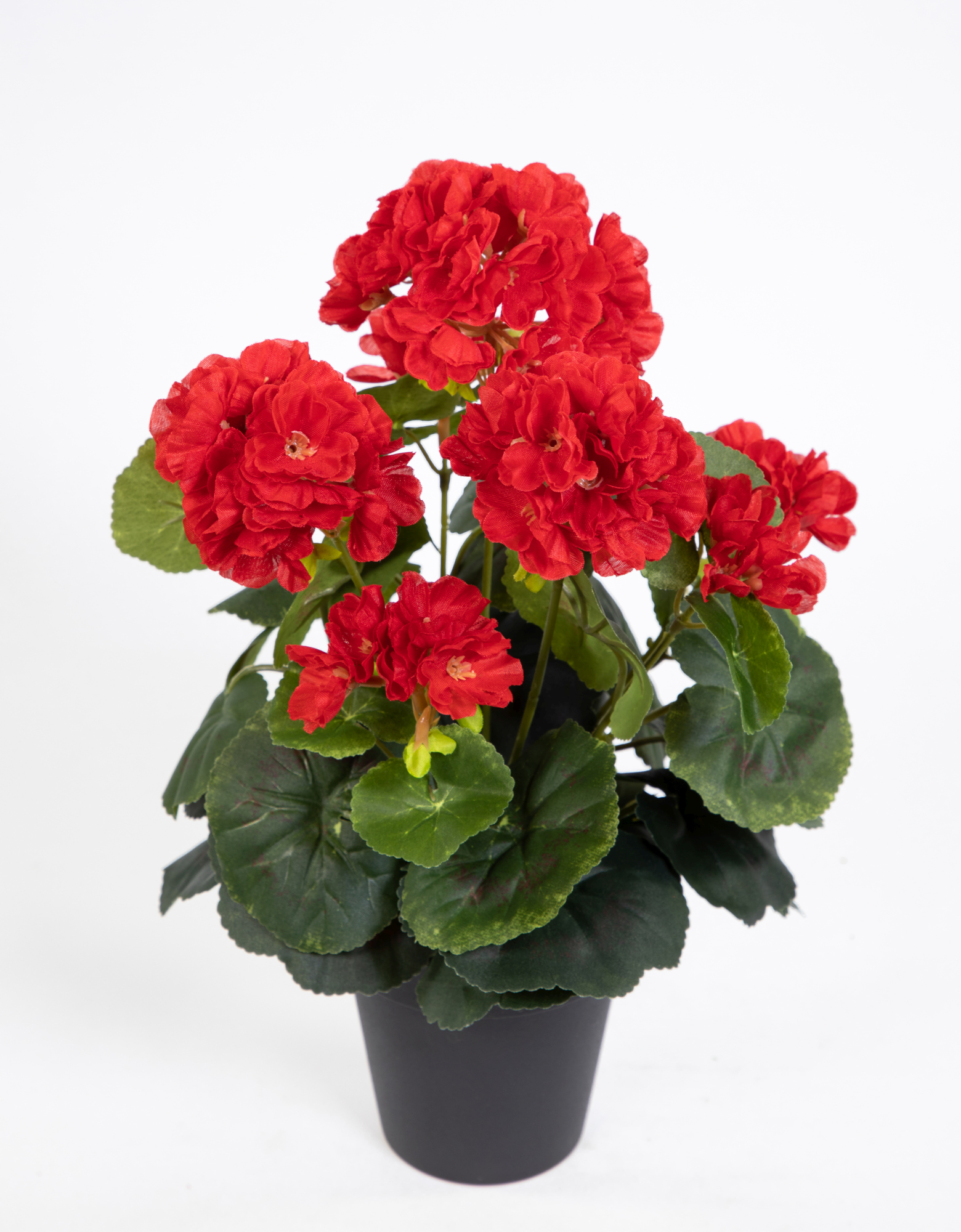 Künstliche Geranie im Topf 35cm rot LM Kunstblumen künstliche Pelargonium Blumen Pflanzen