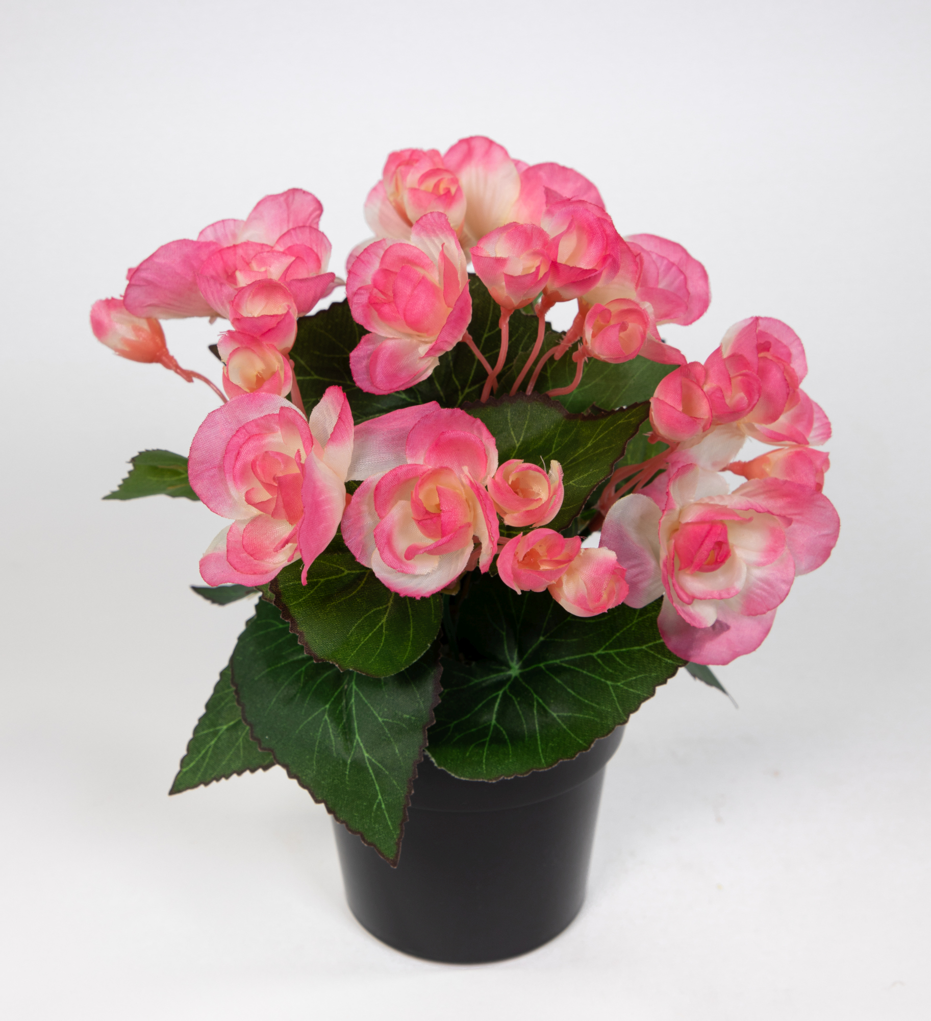 Begonie 20cm rosa im Topf JA Kunstpflanzen Begonienbusch künstliche Blumen Pflanzen Kunstblumen