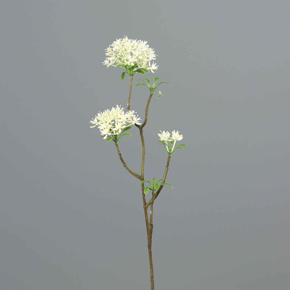 Bouvardienzweig 55cm weiß GA Kunstblumen künstliche Bowardien Bouvardien Blumen Zweige