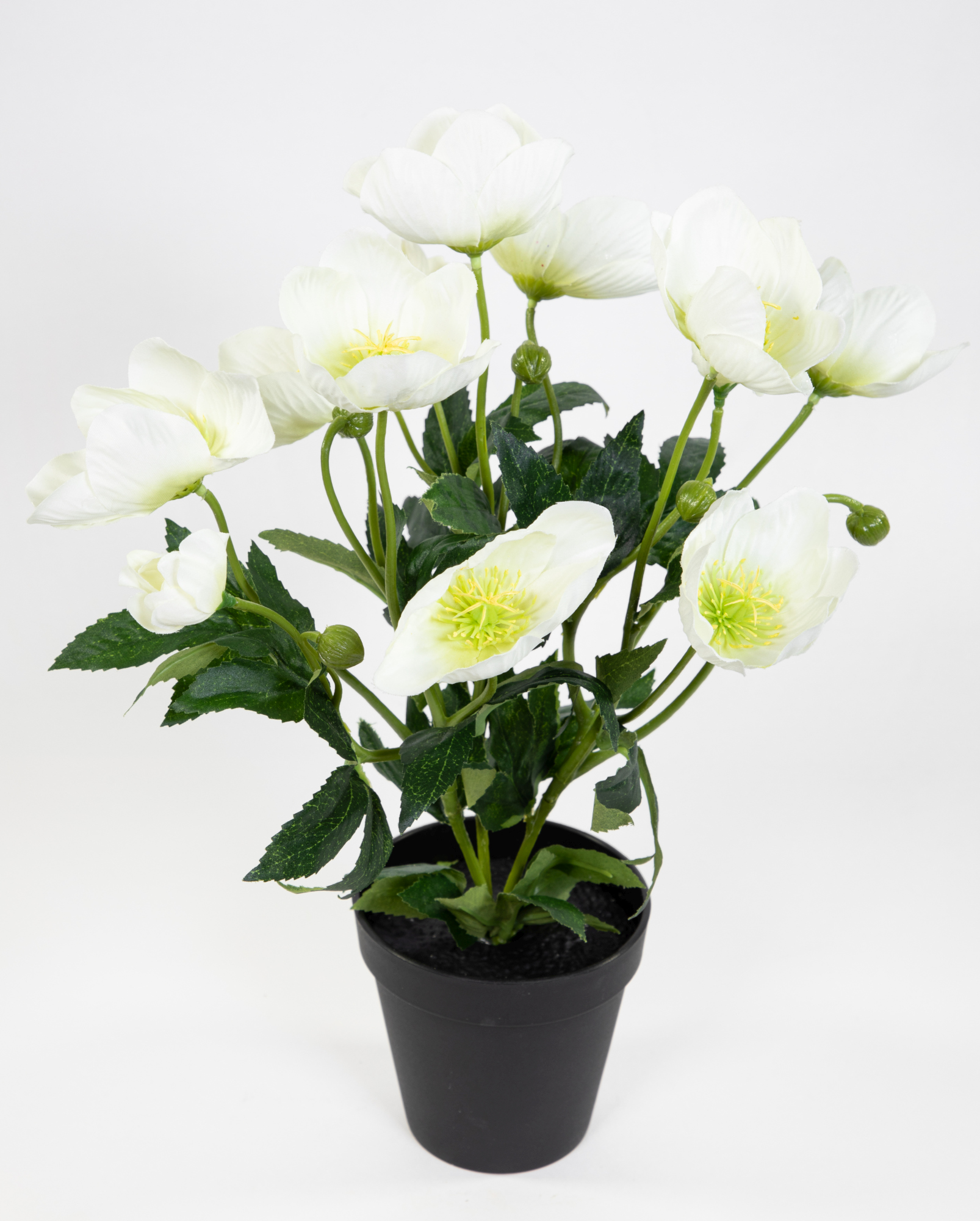 Christrosenbusch 36cm weiß im Topf PM Kunstblumen künstliche Christrose Pflanzen Blumen Kunstblumen